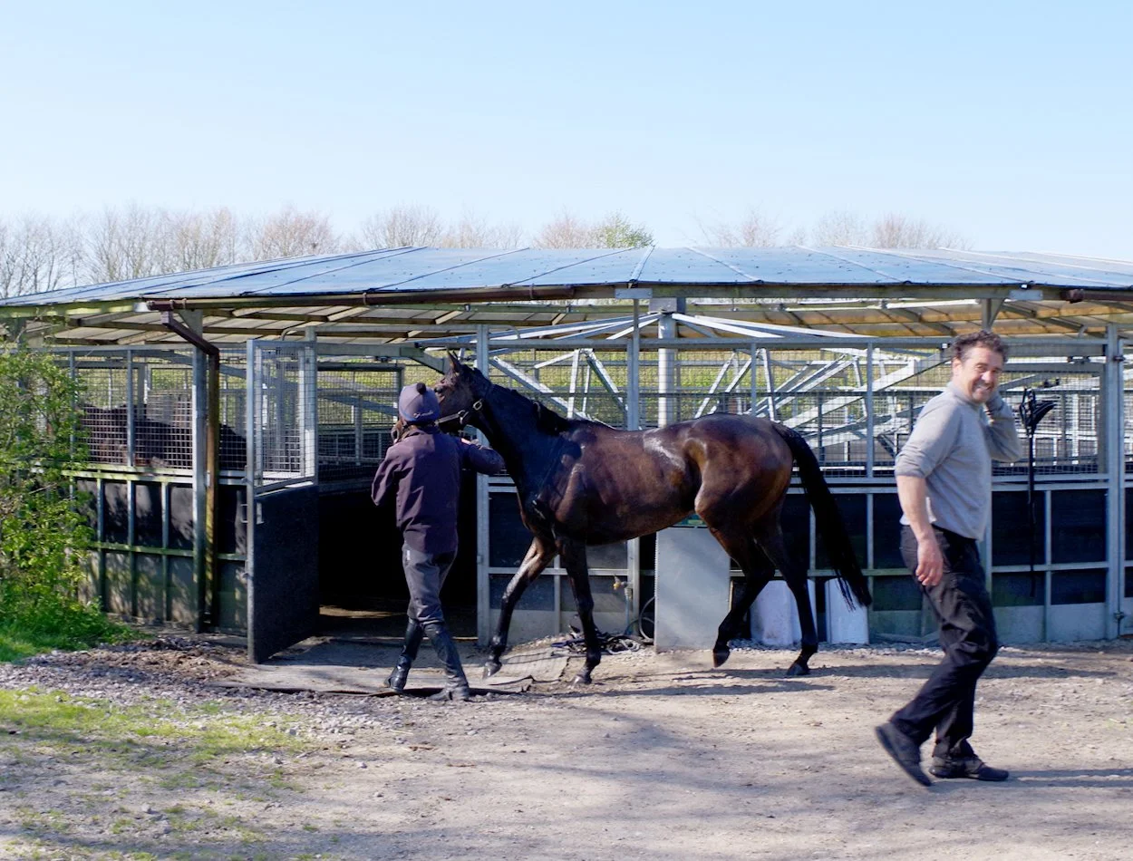 Gary Brown racehorse trainer of G Brown Racing at Badgerstown stables