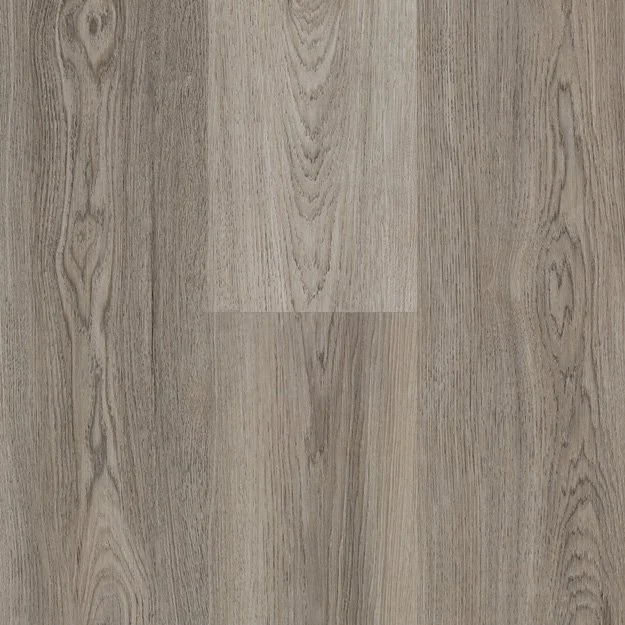 Silver Oak (EP-561).jpeg