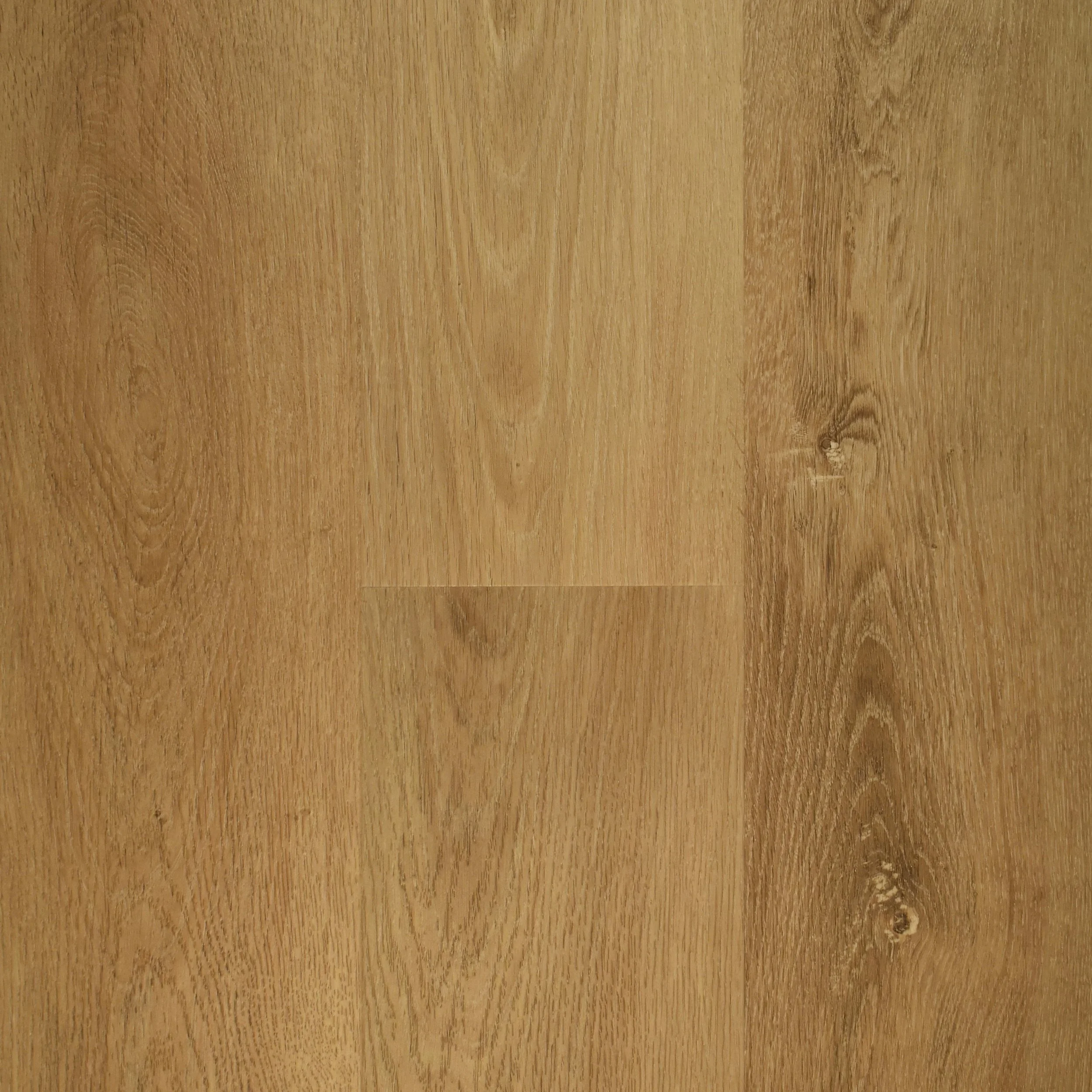 Western Oak (FT-11).jpeg