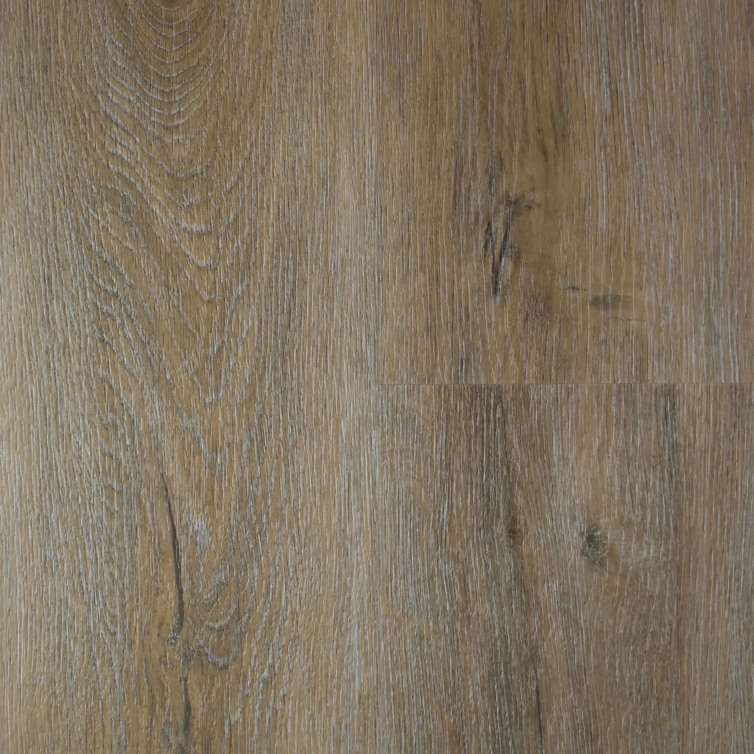 Coastal Landscape (FT-12).jpeg