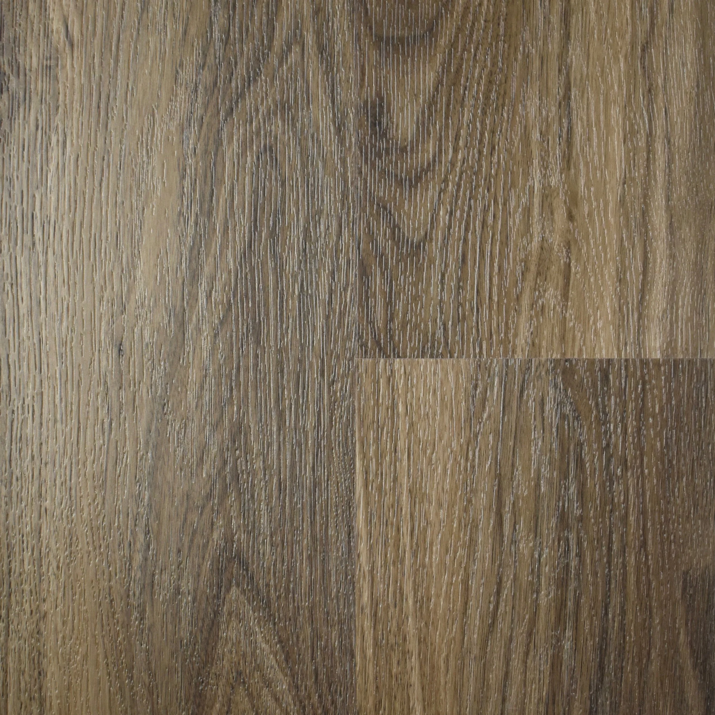 Friday Harbor (FT-19).jpeg