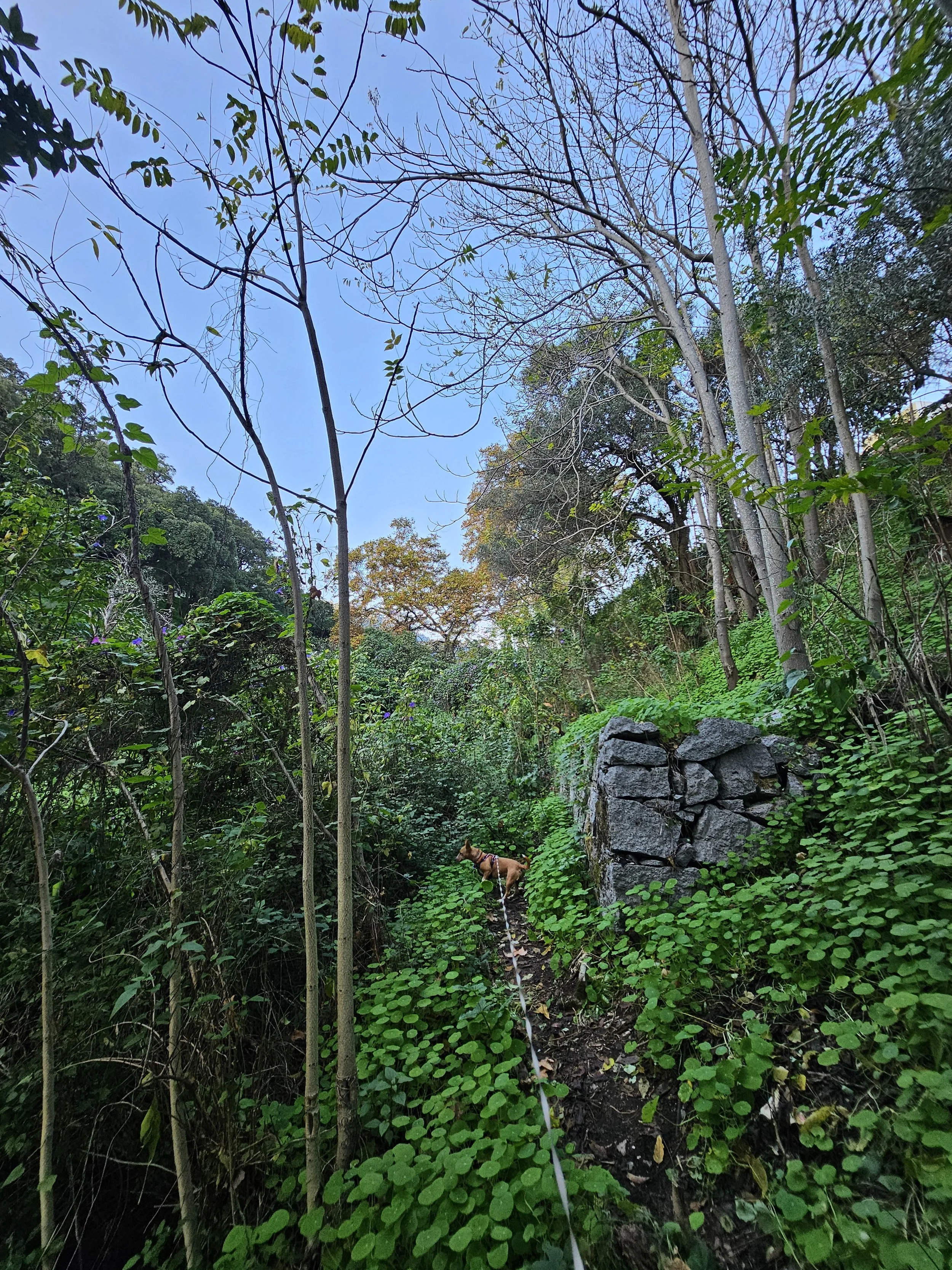 Monchique day trip guide: a road trip to Caldas, Foia and beyond