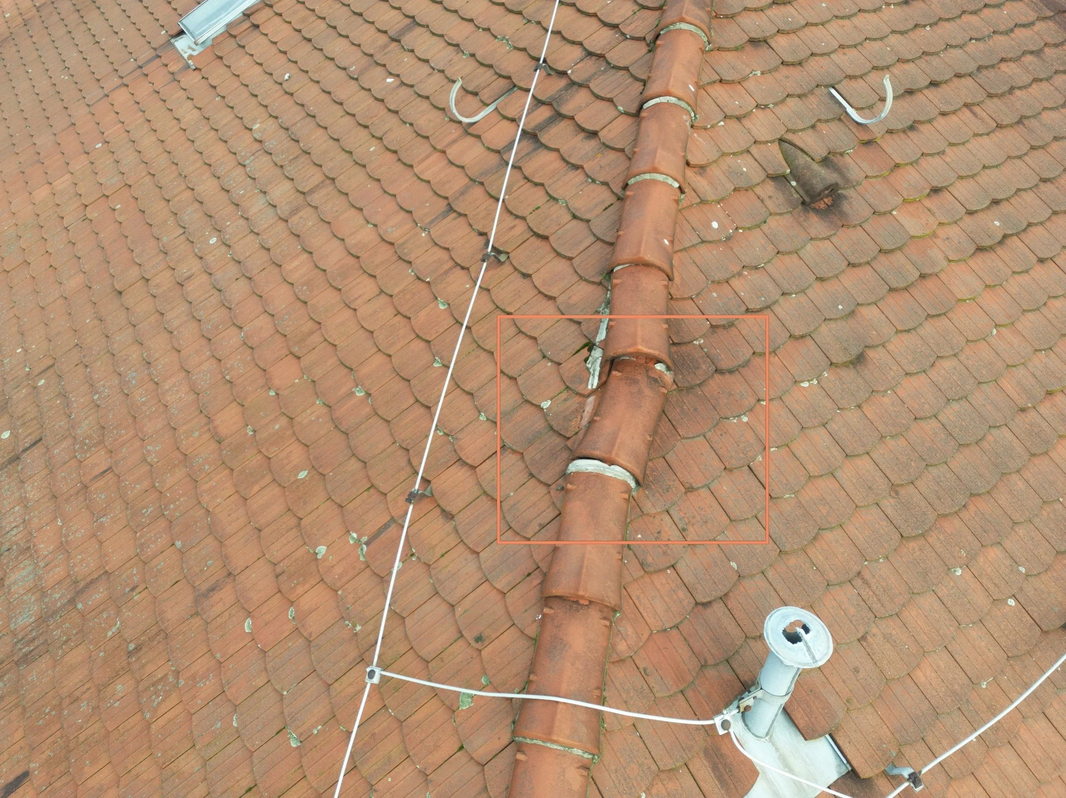 Bild 11.05.24 um 19.47.jpeg