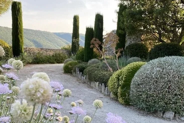 Biophilic Living 2.0