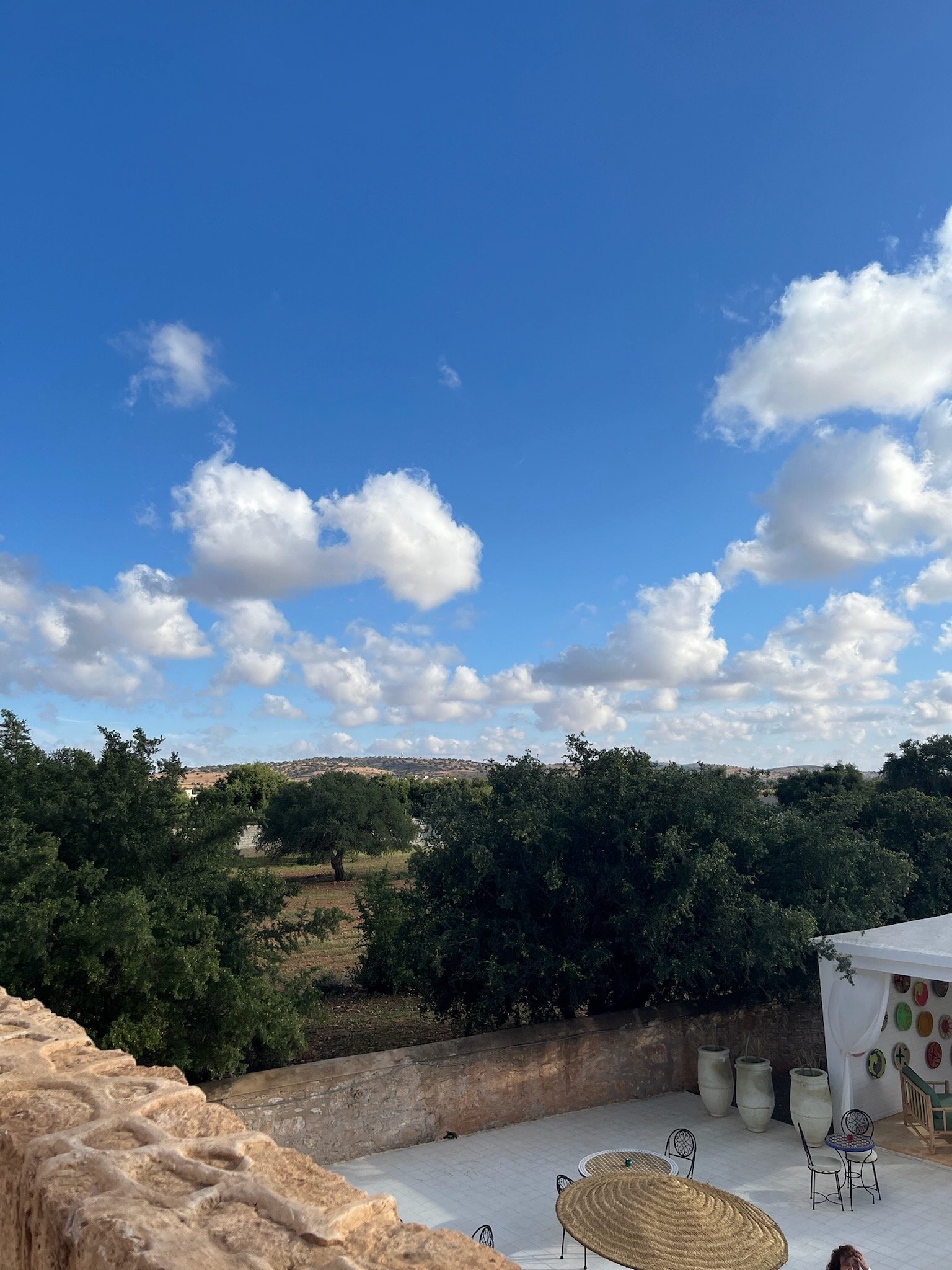IMG_9942 (1).jpeg