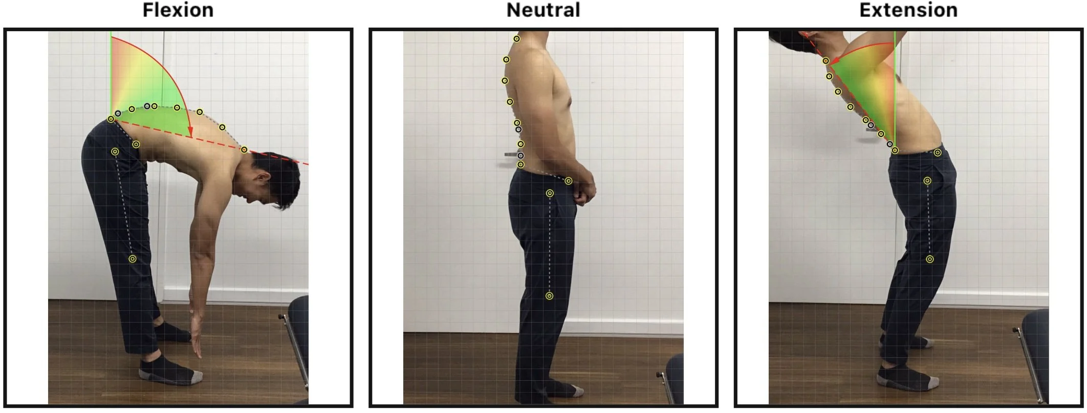 Diagram showing three images of a person demonstrating different back positions during exercises: flexion, neutral, and extension. The first image depicts a person bending forward, the second shows the person standing upright, and the third displays the person leaning backward, highlighting spine alignment.