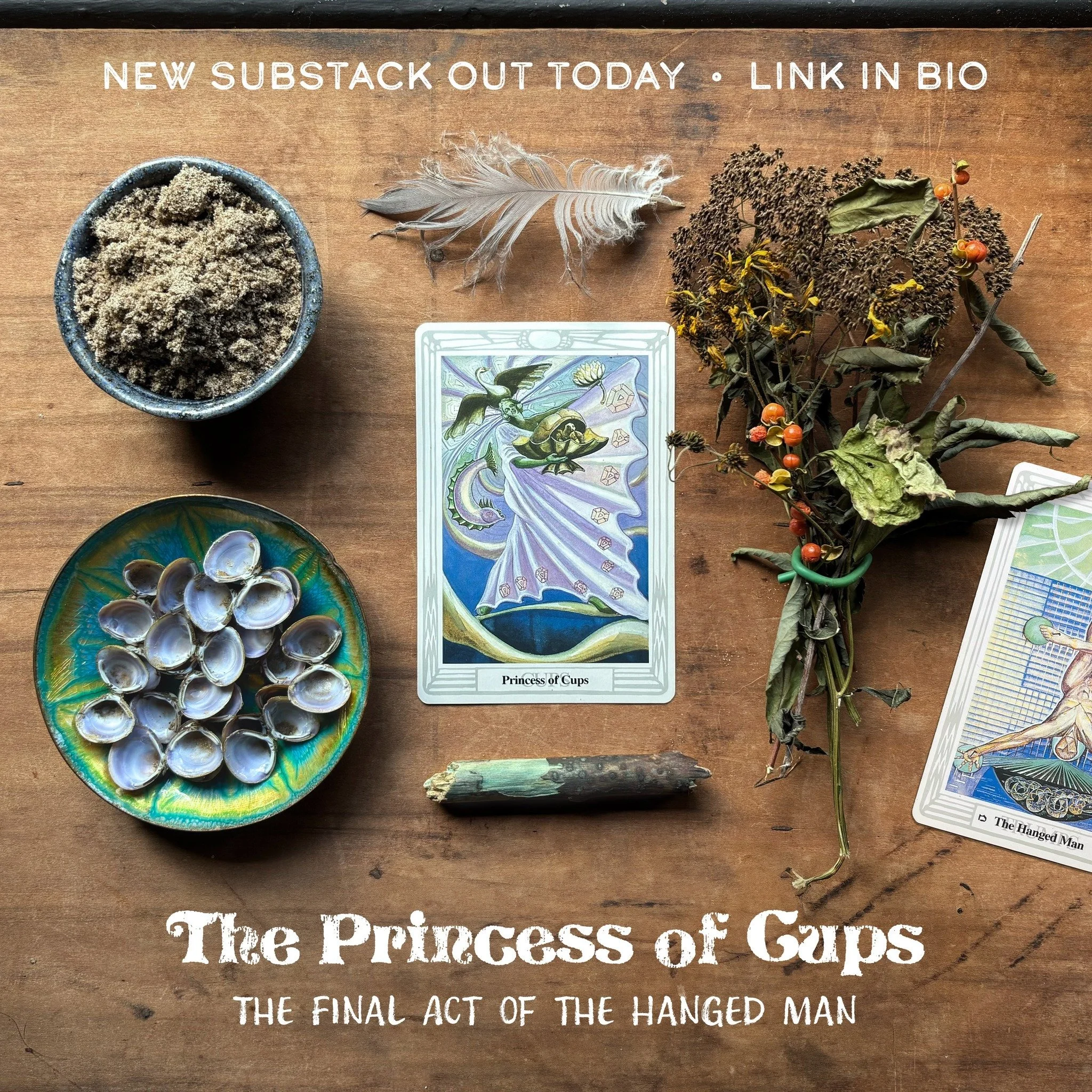 I keep saying I&rsquo;m going to chill out on these deep one-card studies. They are rewarding but can also be intense and draining. However, the Princess of Cups was in the neighborhood and introduced herself, so I took the opportunity. And I&rsquo;m