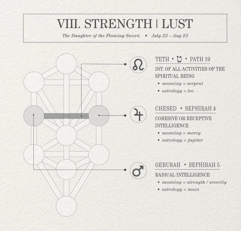 Infographic of the Tree of Life (Qabalah) showing the path Teth and its connecting Sephiroth Chesed and Geburah. Teth is the path of Leo and the Strength/Lust tarot card.