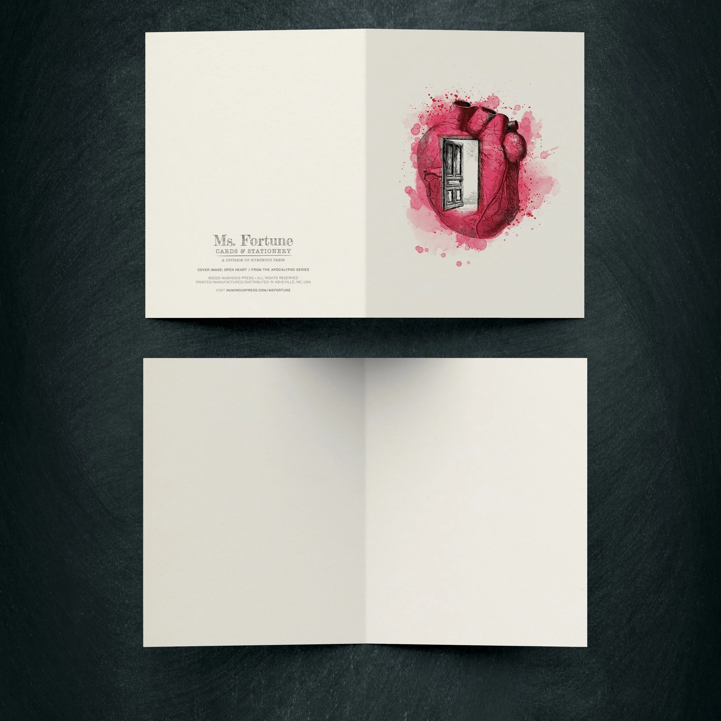 apocalypso_mockup_inside-outside_heart.jpg
