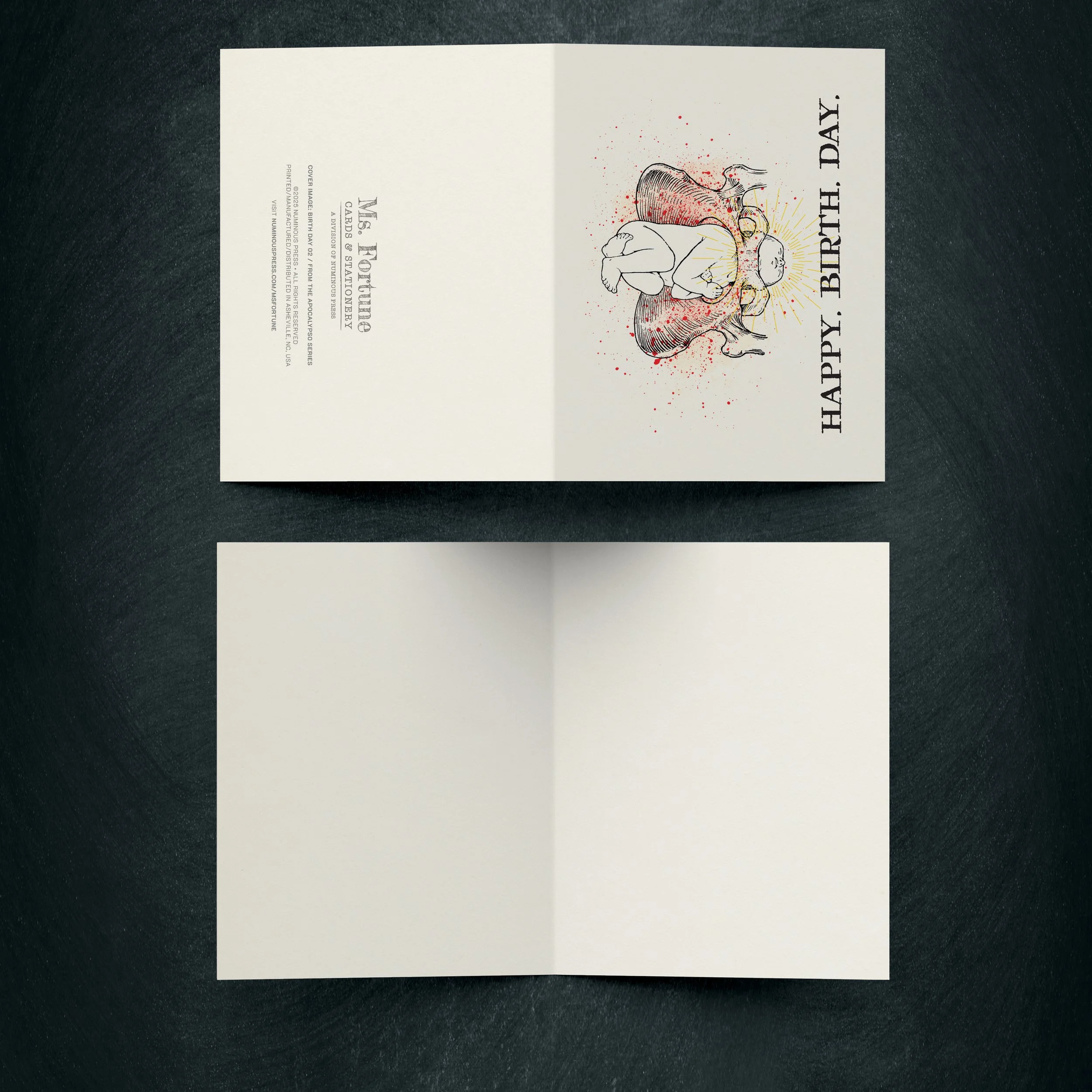 apocalypso_mockup_inside-outside_birthday02.jpg