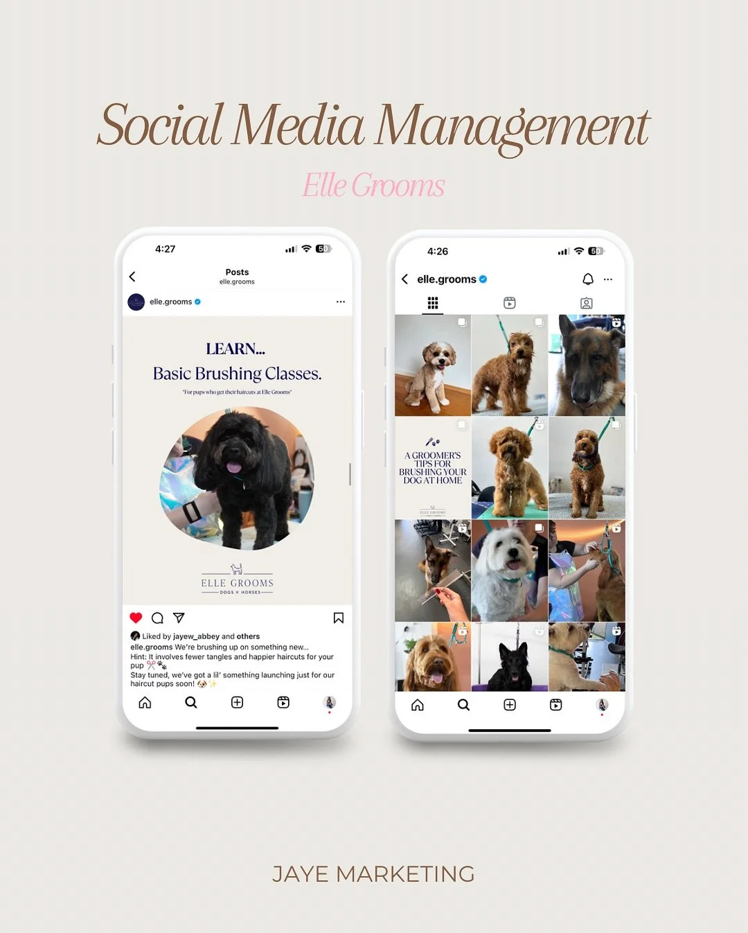 It’s too cute not to share 🥹 Social Media Management for @elle.grooms 🐾