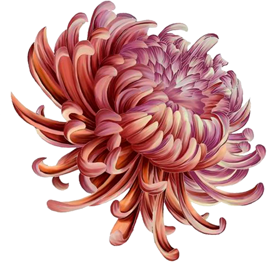 Flor.png