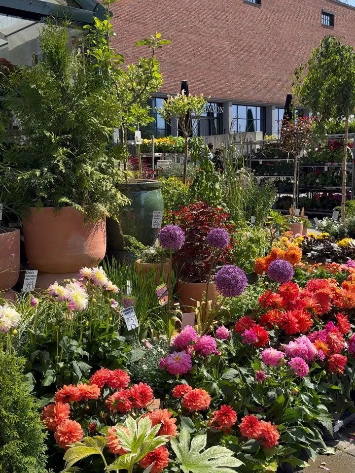 Som vi gleder oss til at det blomstrer utenfor hos oss igjen 🌻 Heldigvis er det ikke lenge til! 

🗓️ 9. april &aring;pner drivhuset @jord_mikrohagesenter og uteplassen fylles med vakre planter og krukker, &oslash;kologiske dyrkede blomster og n&osl