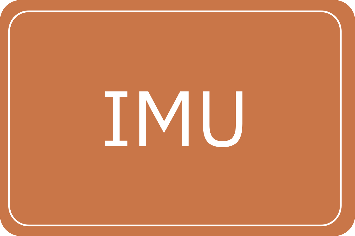 IMU: Julegudstjenste med KFS