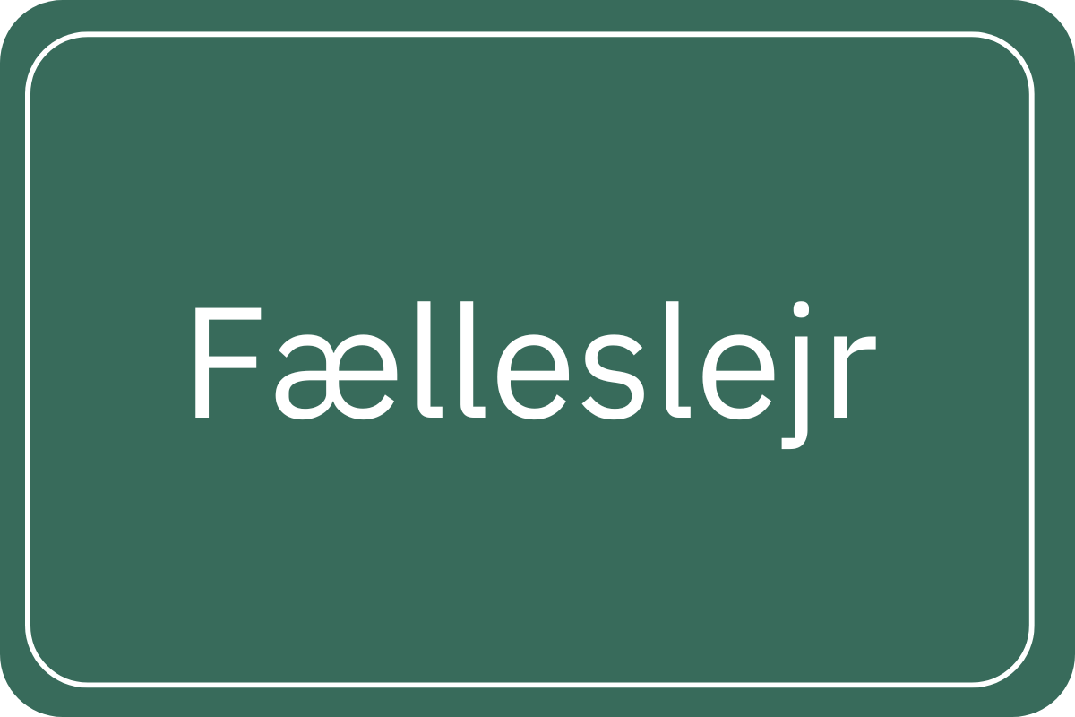 Fælleslejr