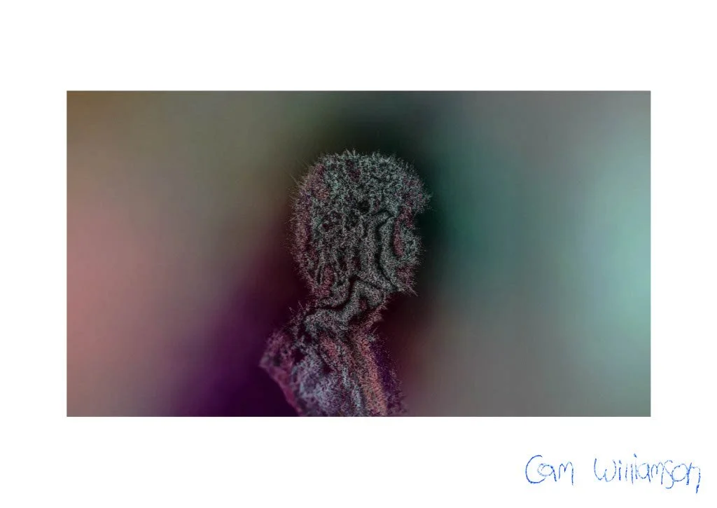 1720345134133-a9ca7d51-de21-4ff4-b1fd-3e645e0a02cc_1 2.jpg