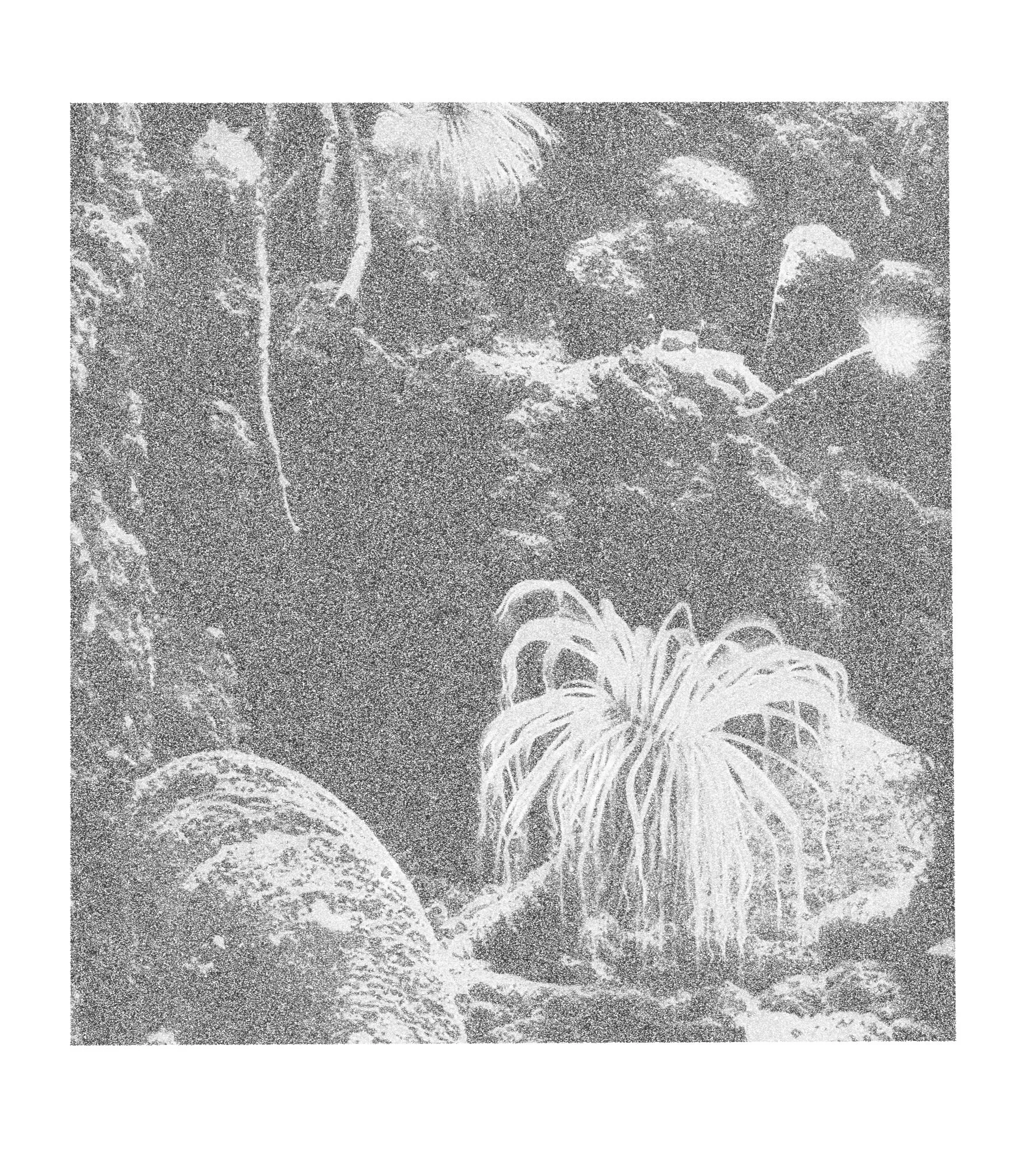 Spotify RADAR x Shygirl