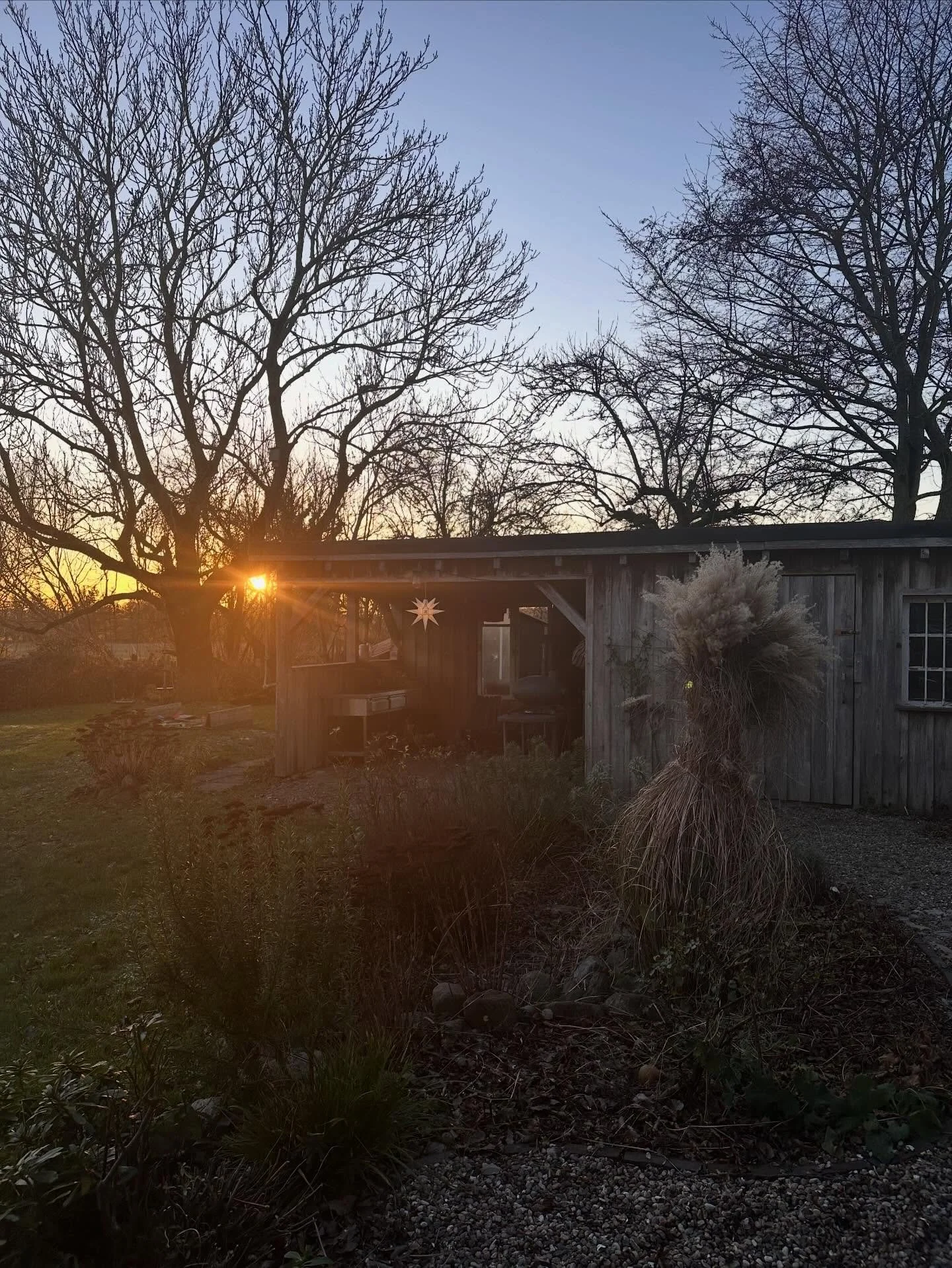 Perfect day with frosty cold weather, sunshine and trying out our new popcorn makers by the fire pit.
The trying out and testing what&rsquo;s the best way to do it, is the best part for sure - as is the feeling of success after several missed tries a