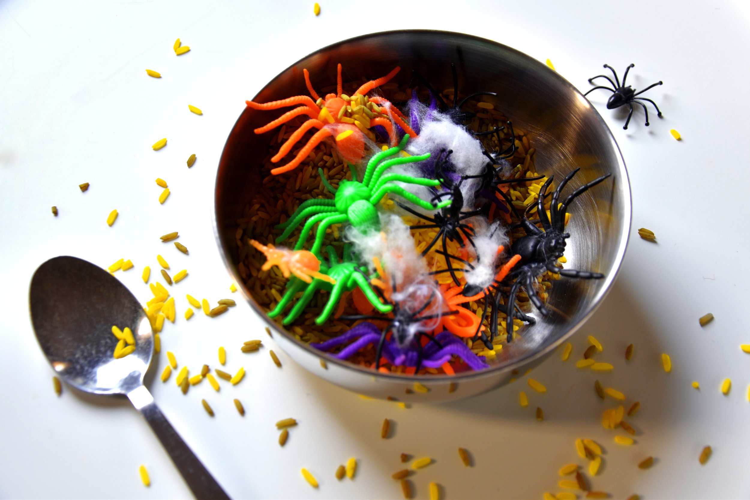 Sonia Reid, Spider-Fried Rice #2, 2023, Mixed Media, Photograph.