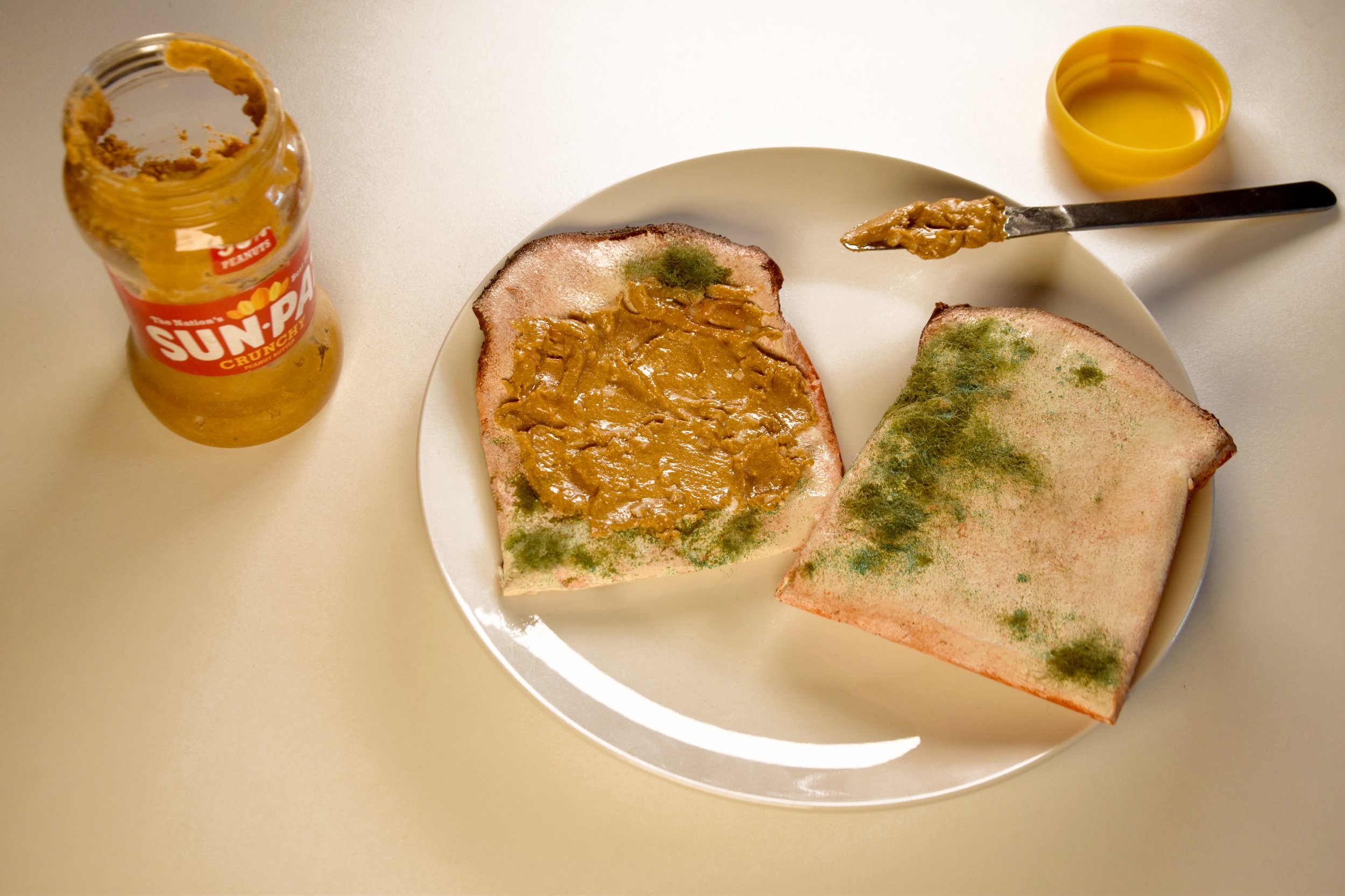 Sonia Reid, Peanut Butter & Toast, 2023, Mixed Media, Sculpture, 25 x 25 cm