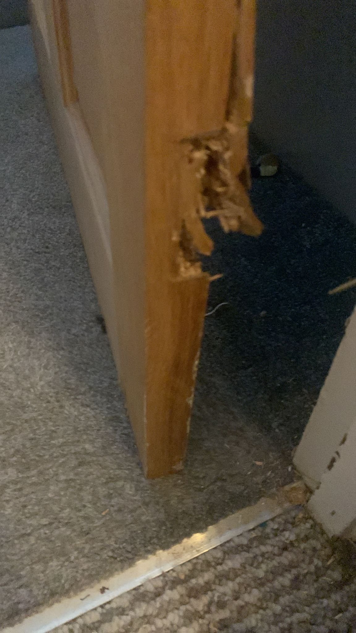 Before door renovation
