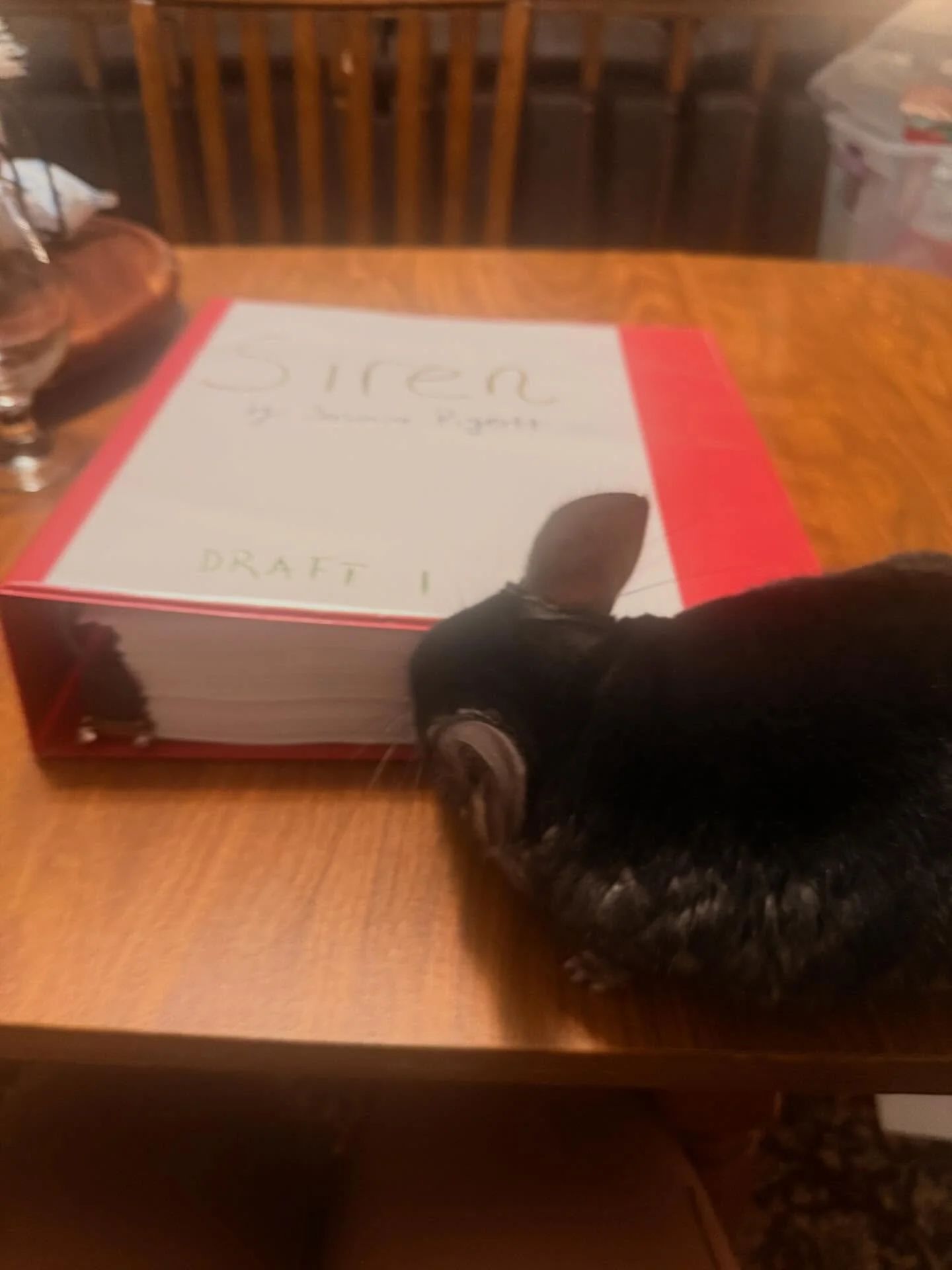 I&rsquo;ve been quiet for a few weeks. Here&rsquo;s what I was doing!

I just finished the first draft of my debut novel, Siren. 40 chapters. 520 pages.* 260,000 words&mdash;11 years in the making. I started it the month before I graduated high schoo