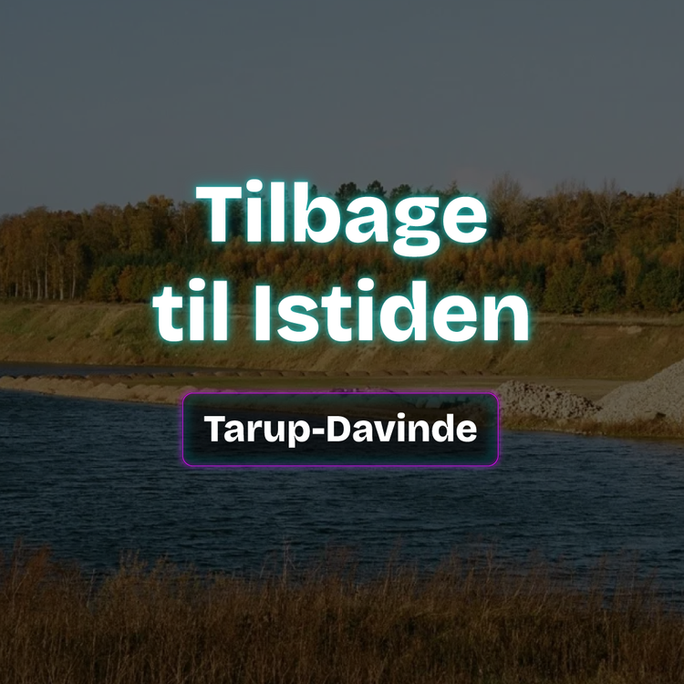 SoMe_Tarup-Davinde_01.webp