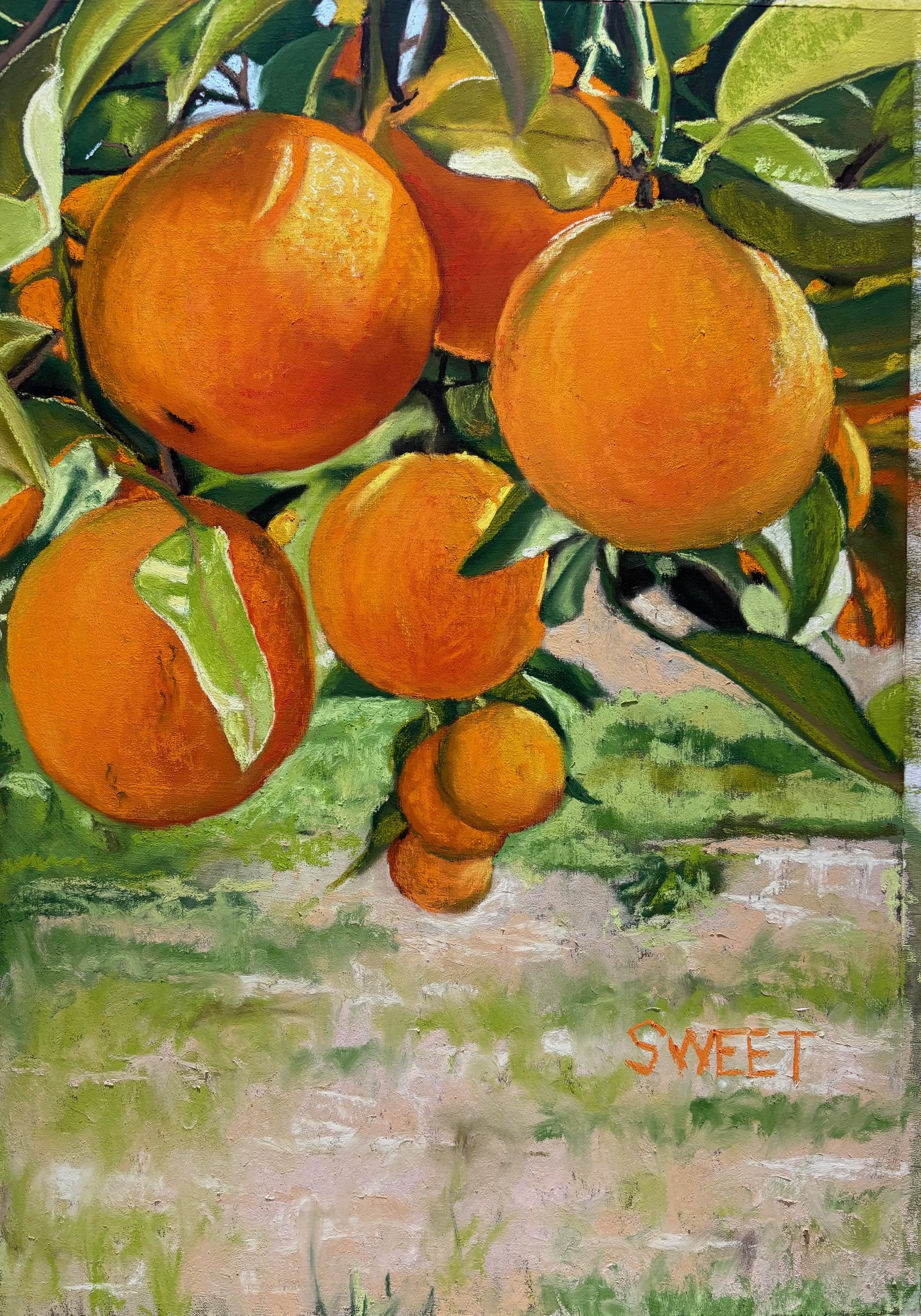 Orangerie - David Sweet, soft pastels, 56cm x 40cm artwork, 70cm x 50cm framed size. £450.