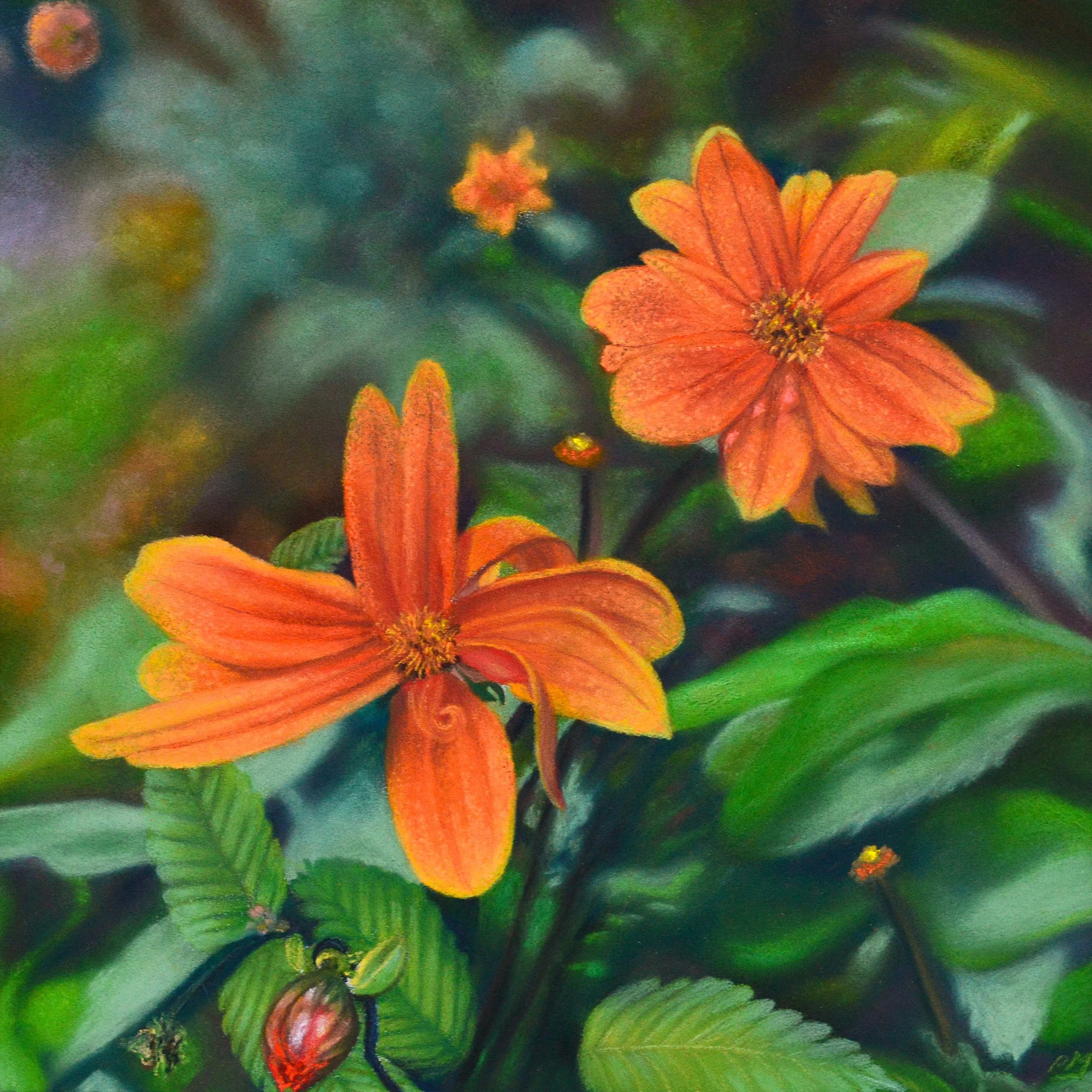 Orange burst, by Patricia Mooney; Soft pastel; Unframed dimensions - 22 x 22 cm; Framed dimensions - 37 x 37 cm; Price £270.00
