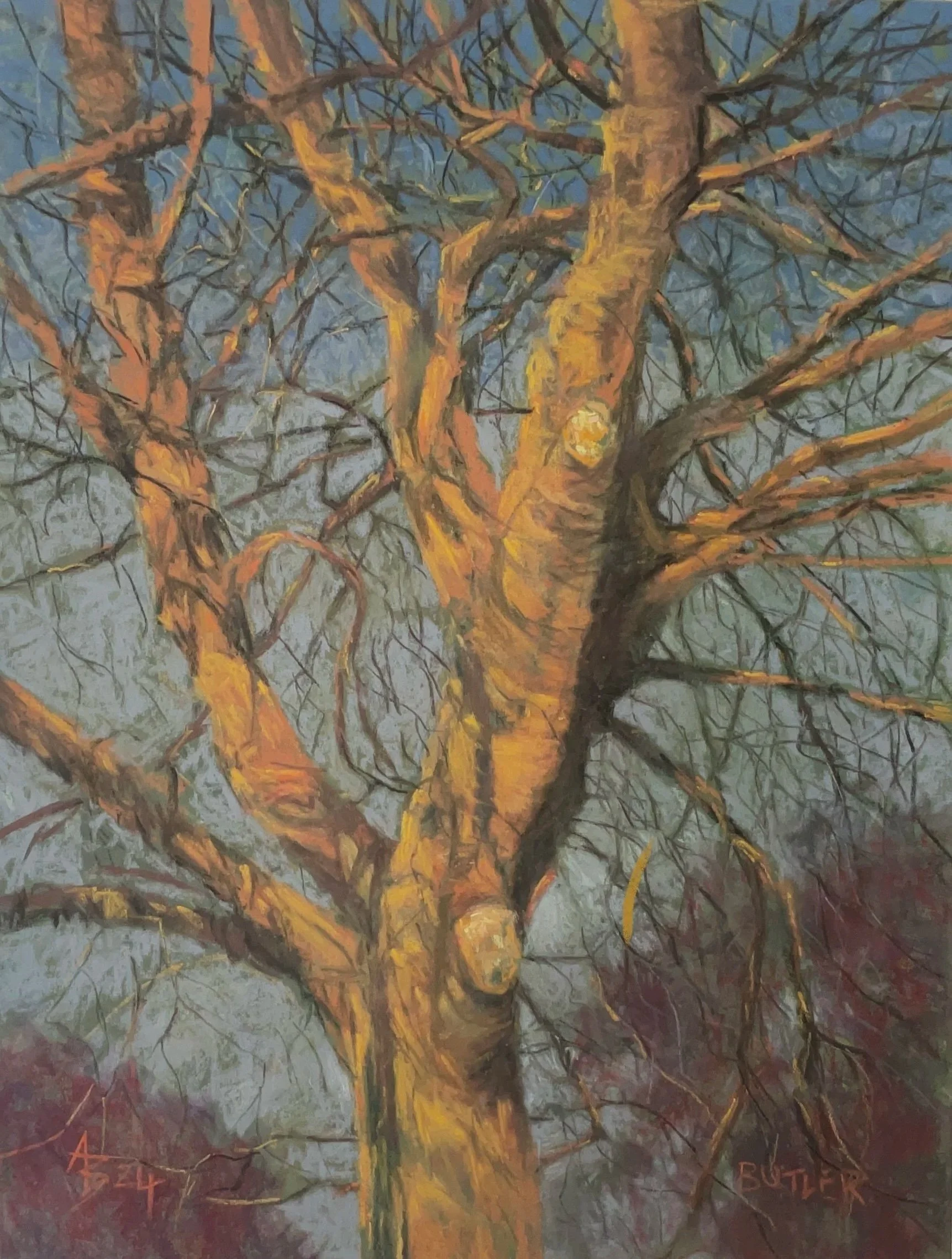 Winter Afternoon, by Aidan Butler
Soft Pastel
Artwork size - 32cm x 24cm
Framed size - 52cm x 44 cm
Price £450
