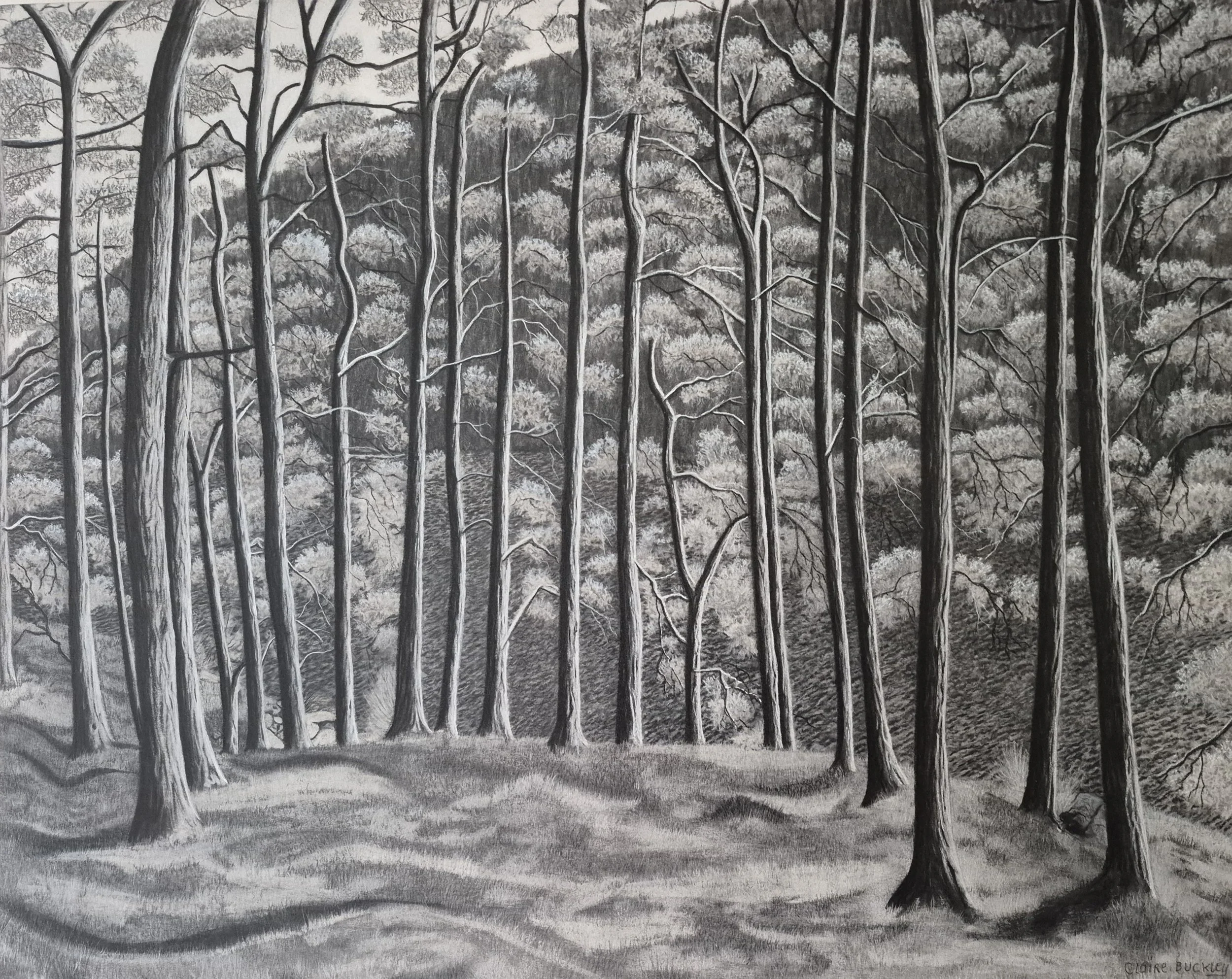 Glendalough Upper Lake, by CLaire Buckley; Charcoal; Unframed dimensions - 51 x 77 cm; Framed dimensions - 51 x 77 cm; Price £520