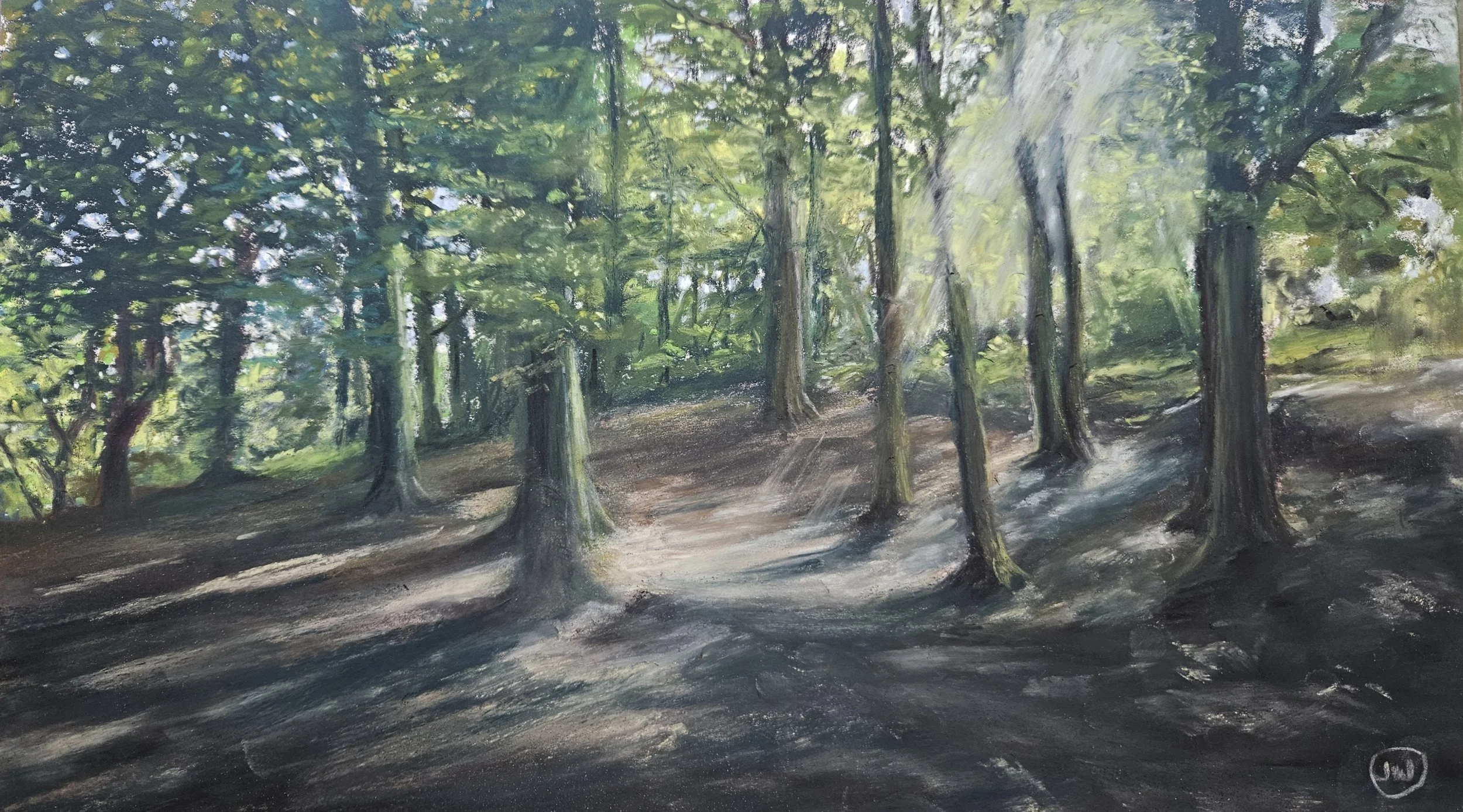 Borrowed light, by Julie Wilson; soft pastel; Unframed dimensions 20 x 36cm; framed dimensions - 28 x 44cm; Price £400.00