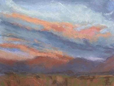 Fleeting Beauty, by Brid Lyons.
Soft pastel.
Artwork size- 23cm x 30cm.
Framed size - 40cm x 46cm.
Price £300