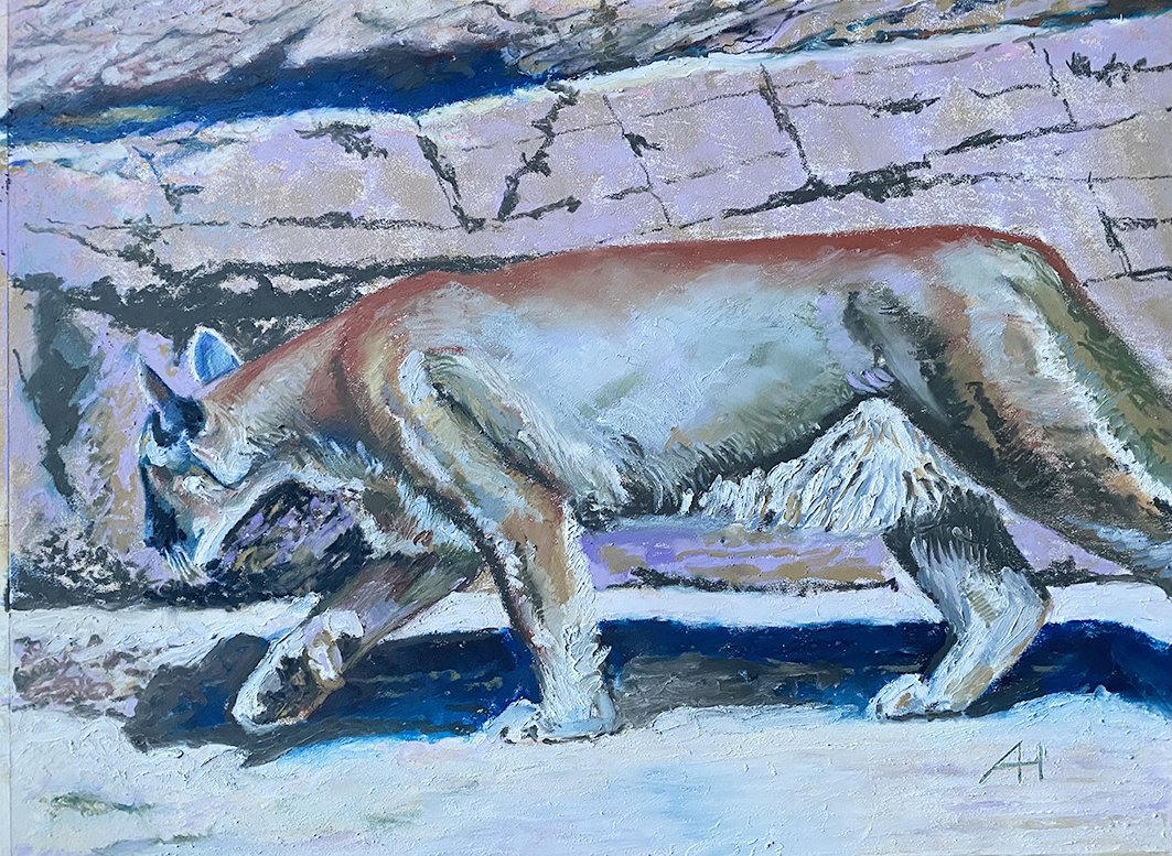 Prowler - Anthony Haughey, oil pastels, 27cm x 37.5cm artwork, 43cm x 54cm framed size. £285.