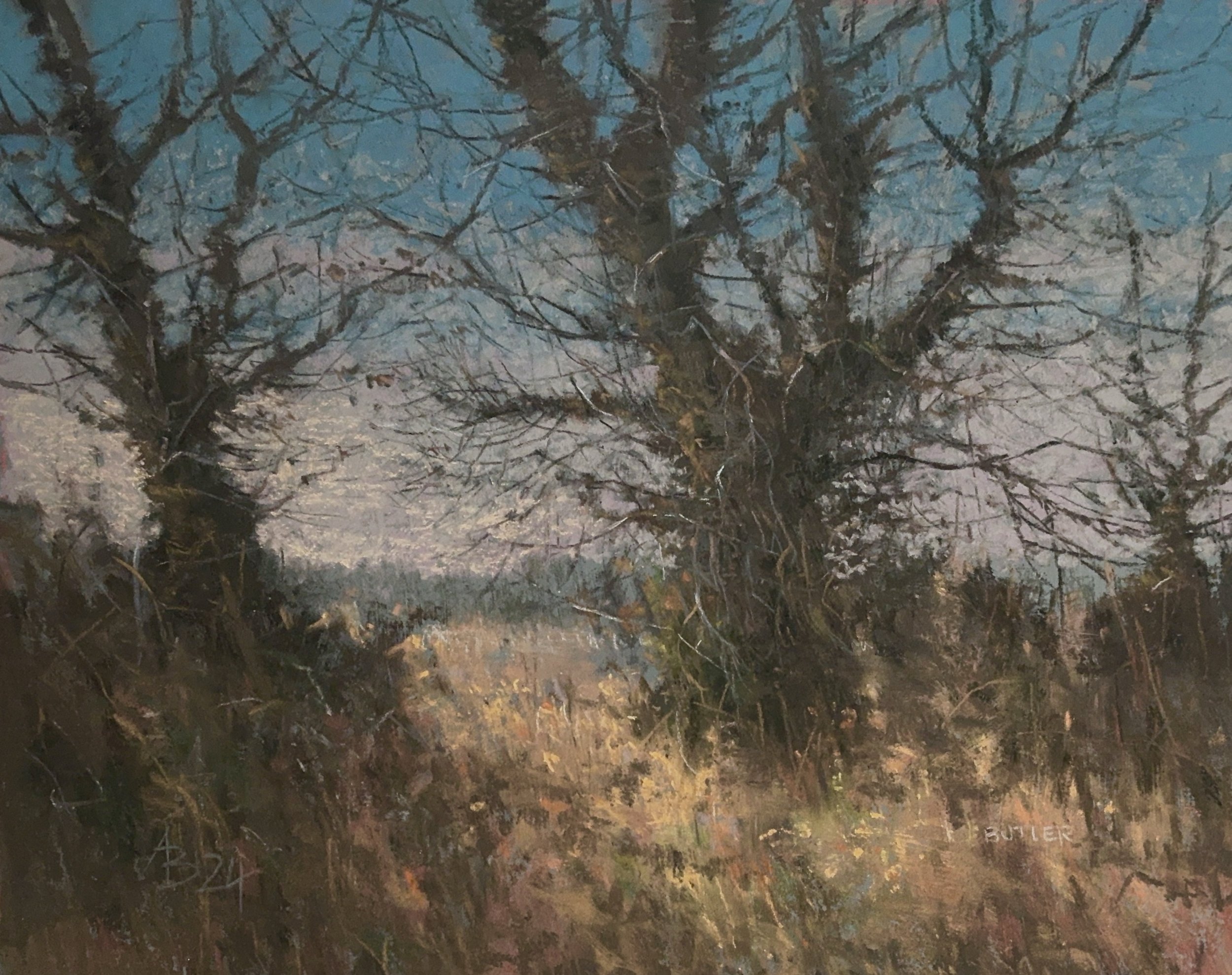 Winter Tracing - Aidan Butler, soft pastels, 25cm x 35cm artwork, 35cm x 45cm framed size. £450.
