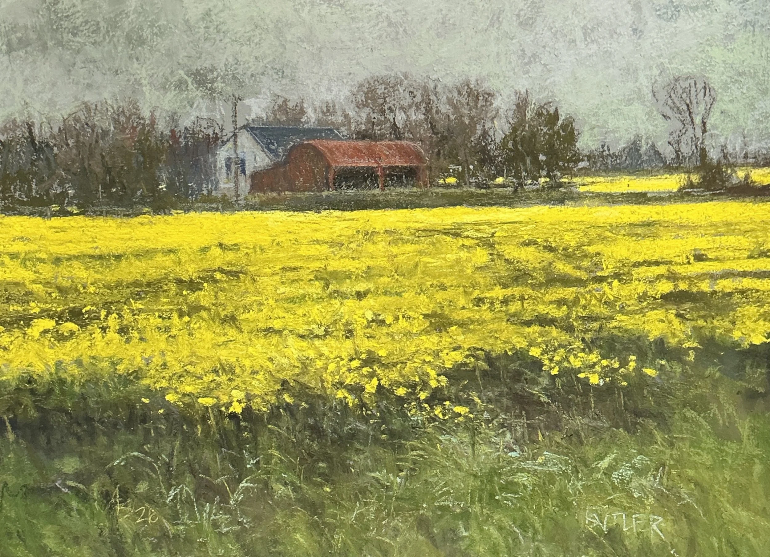 Rapeseed Field, Co Kildare, by Aidan Butler;  Soft pastel;  Unframed dimensions - 20 x 28cm; Framed dimensions - 37 x 45 cm; Price £380.00