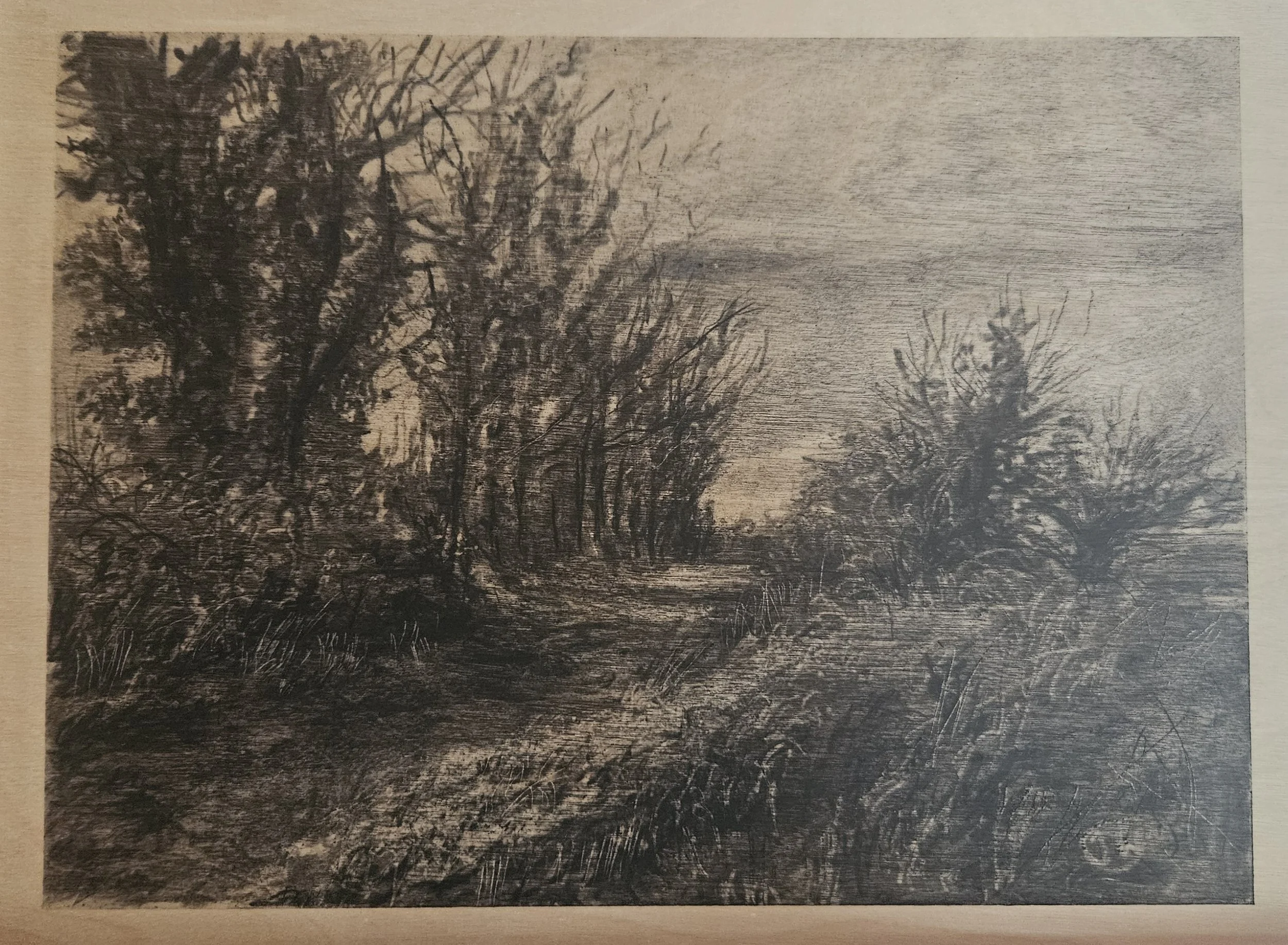 Beyond, by Julie Wilson; charcoal on wood; Unframed dimensions - 23 x 30 cm; framed dimensions - 28 x 35 cm; Price - £390.00