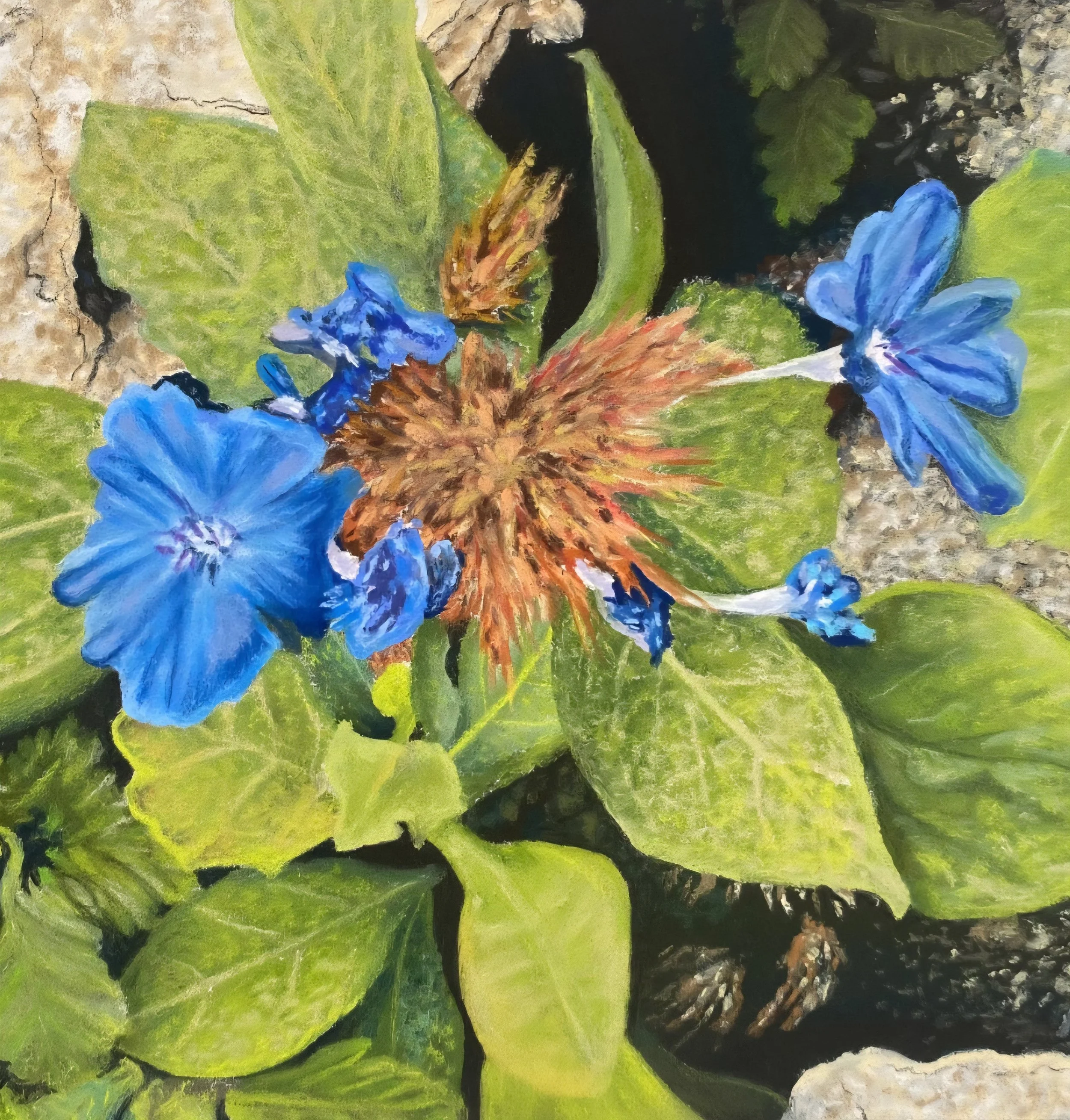 Blue Alpine, by Patricia Mooney
Soft pastel.
Artwork - 17cm x 17cm.
Framed - 39cm x 39cm.
Price - £190