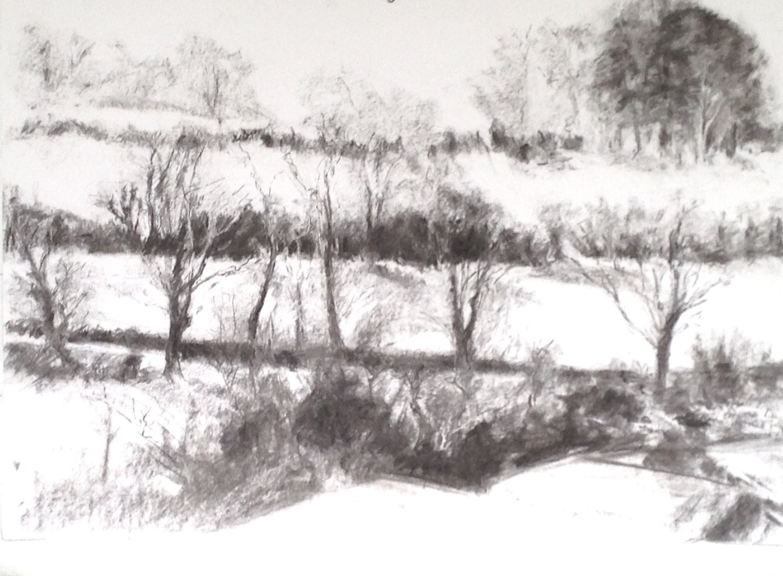 Winter, County Down 1 - Pat Burgess, charcoal, 40cm x 46cm artwork, 65cm x 82cm framed size. £495