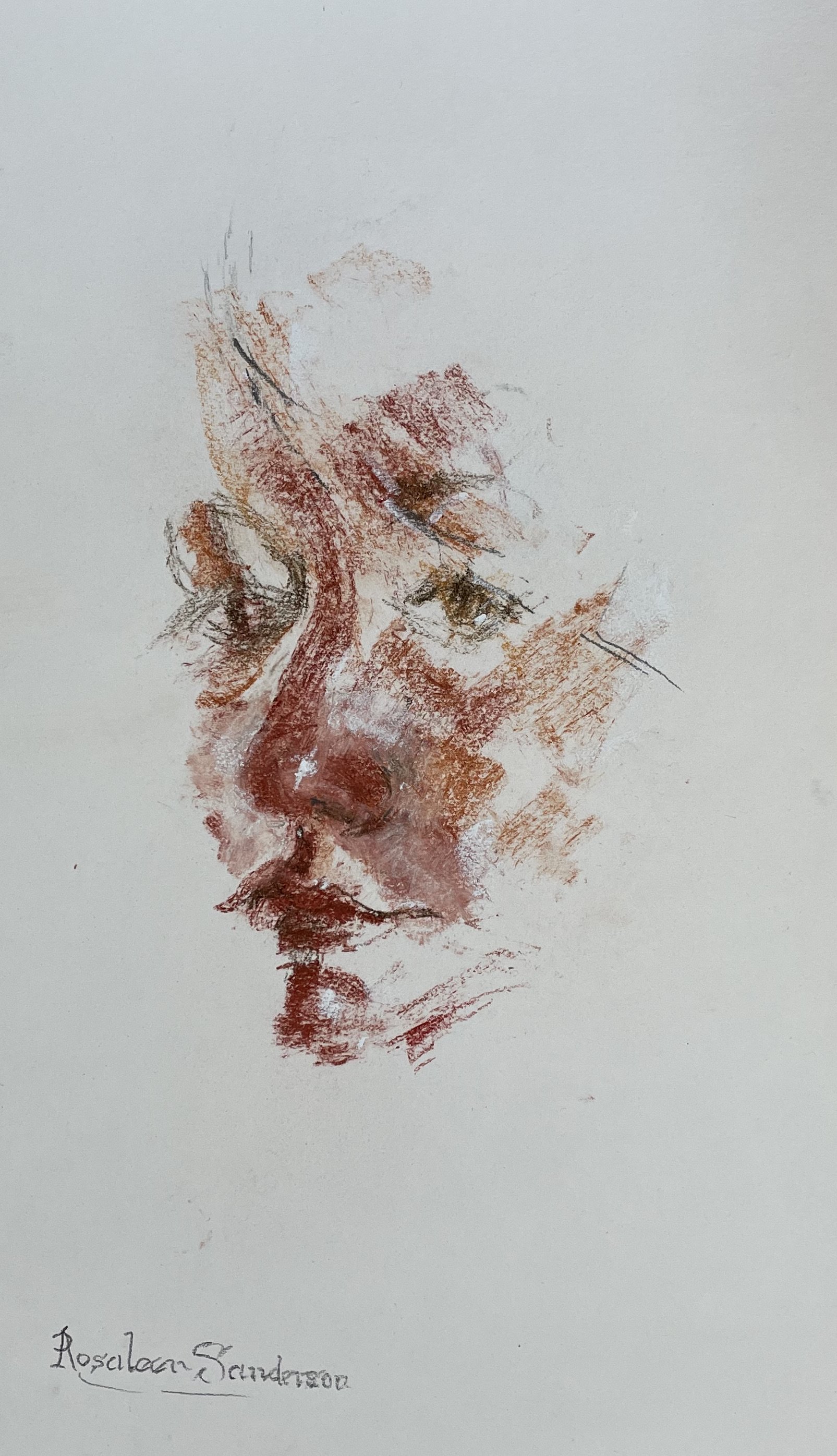 Peek-a-Boo - Rosaleen Sanderson, soft pastel, 34cm x 26cm artwork, 50cm x 42cm framed size. £345.