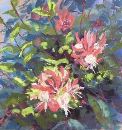 Honeysuckle, by Catherine McKeever.
Soft pastel.
Artwork - 25cm x 25cm
Framed - 35cm x 35cm
Price - £120