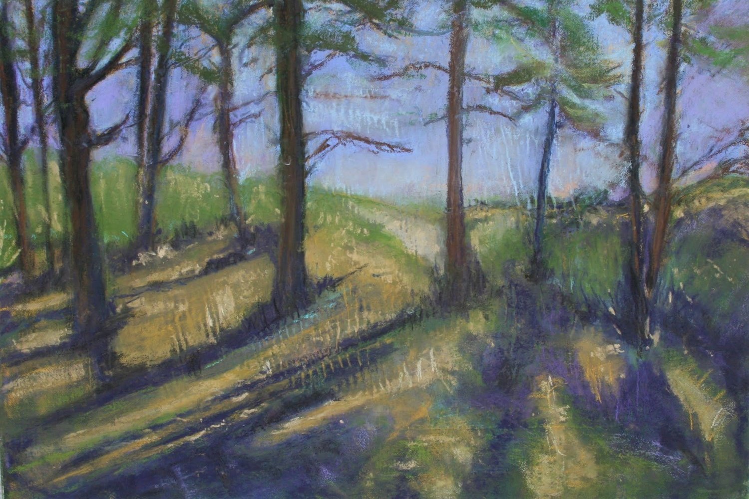 Golden Shadow - Brid Lyons, soft pastels, 45cm x 60cm artwork, 49cm x 64cm framed size. £500.