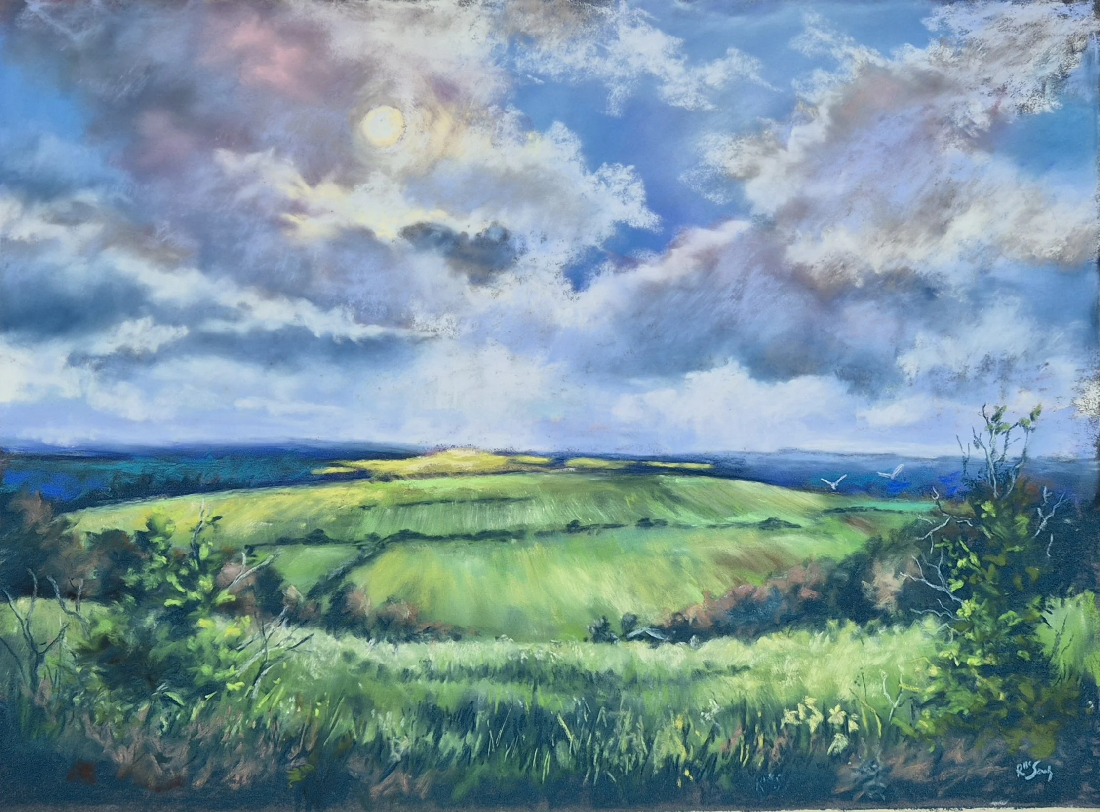 Faithful fields, by Regina McSorley; Soft pastel; Unframed dimensions - 227 x 37 cm; Framed dimensions - 49 x 59 cm; Price £275.00