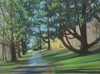 Cedars in Tollymore Park, Co. Down, by Kay Cullen.
Soft Pastel.
Artwork - 30cm x 40cm
Framed - 47cm x 57cm
Price - £200