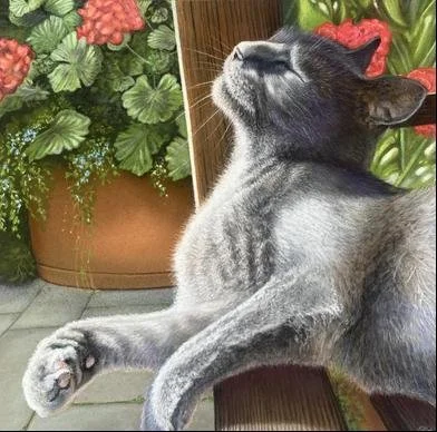 The Sun Worshipper, by Patricia Mooney.
Soft Pastel.
Artwork - 25.5cm x 25.5cm
Framed - 41cm x 41cm
Price - £330