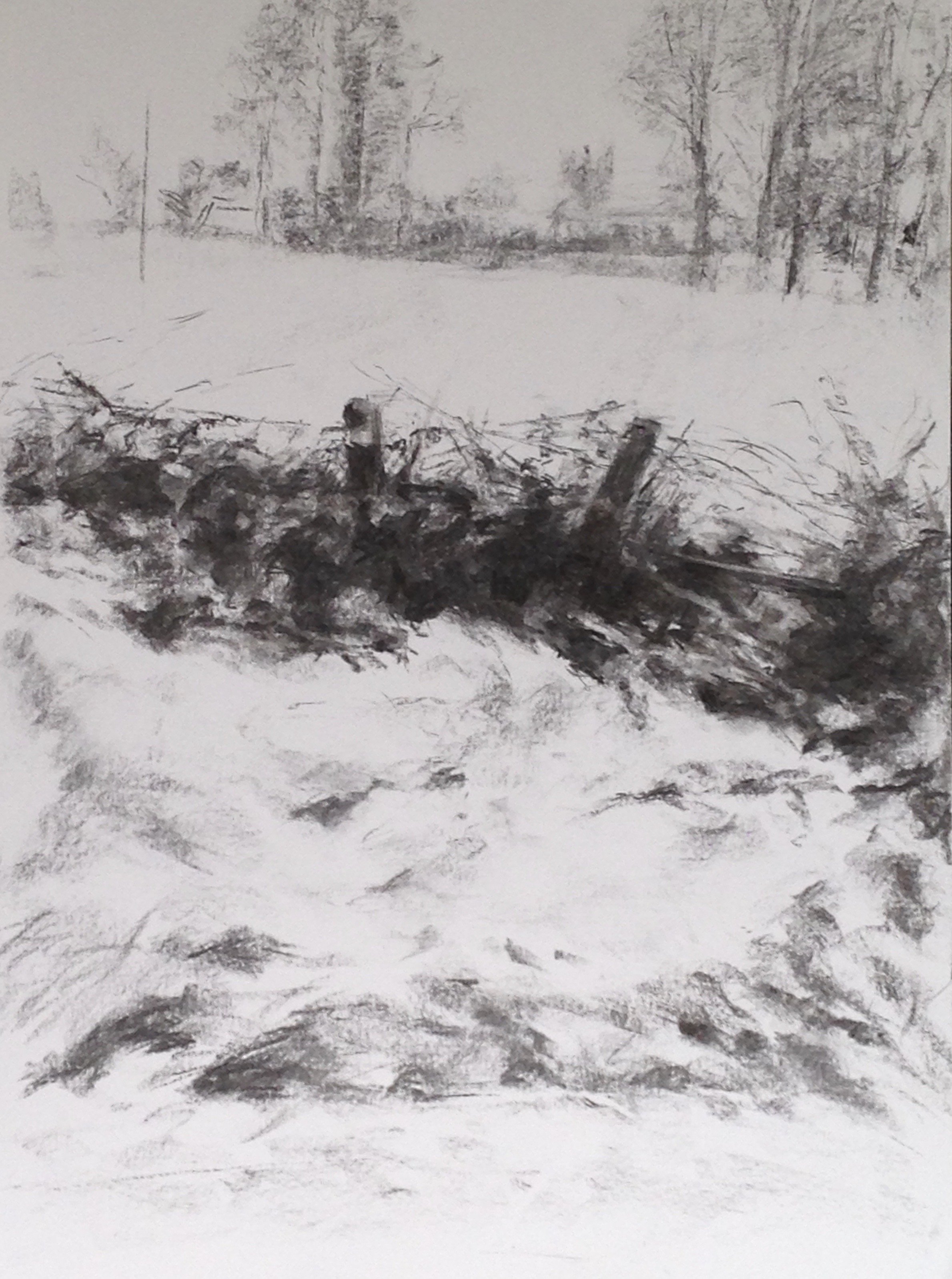 Winter, Country Down 2 - Pat Burgess, charcoal, 506cm x 40cm artwork size, 82cm x 65cm framed size. £495.
