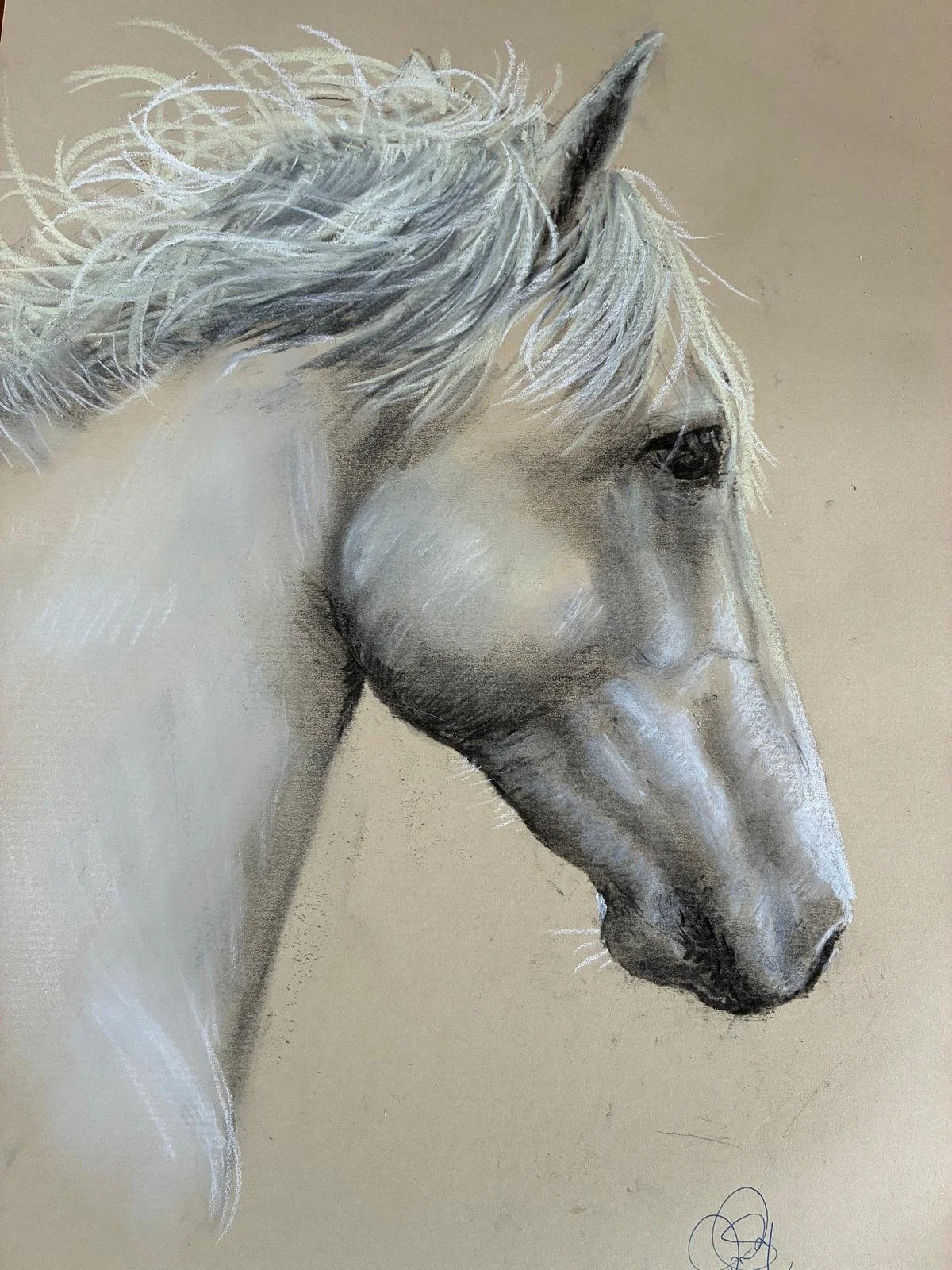 Camargue horse, by Margaret Mathews;  Soft pastel; Unframed dimensions - 42 x 30 cm; Price £150