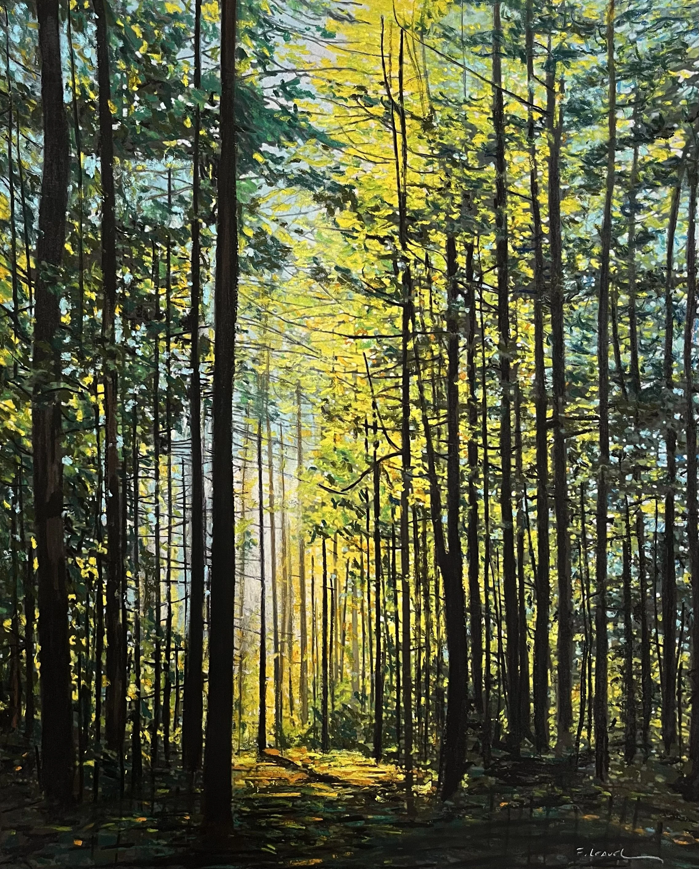 Forest morning, by Francis Leavey; Doft pastel; Unframed dimensions - 34 x 27 cm; Framed dimensions - 55 x 45 cm; Price - £450.00