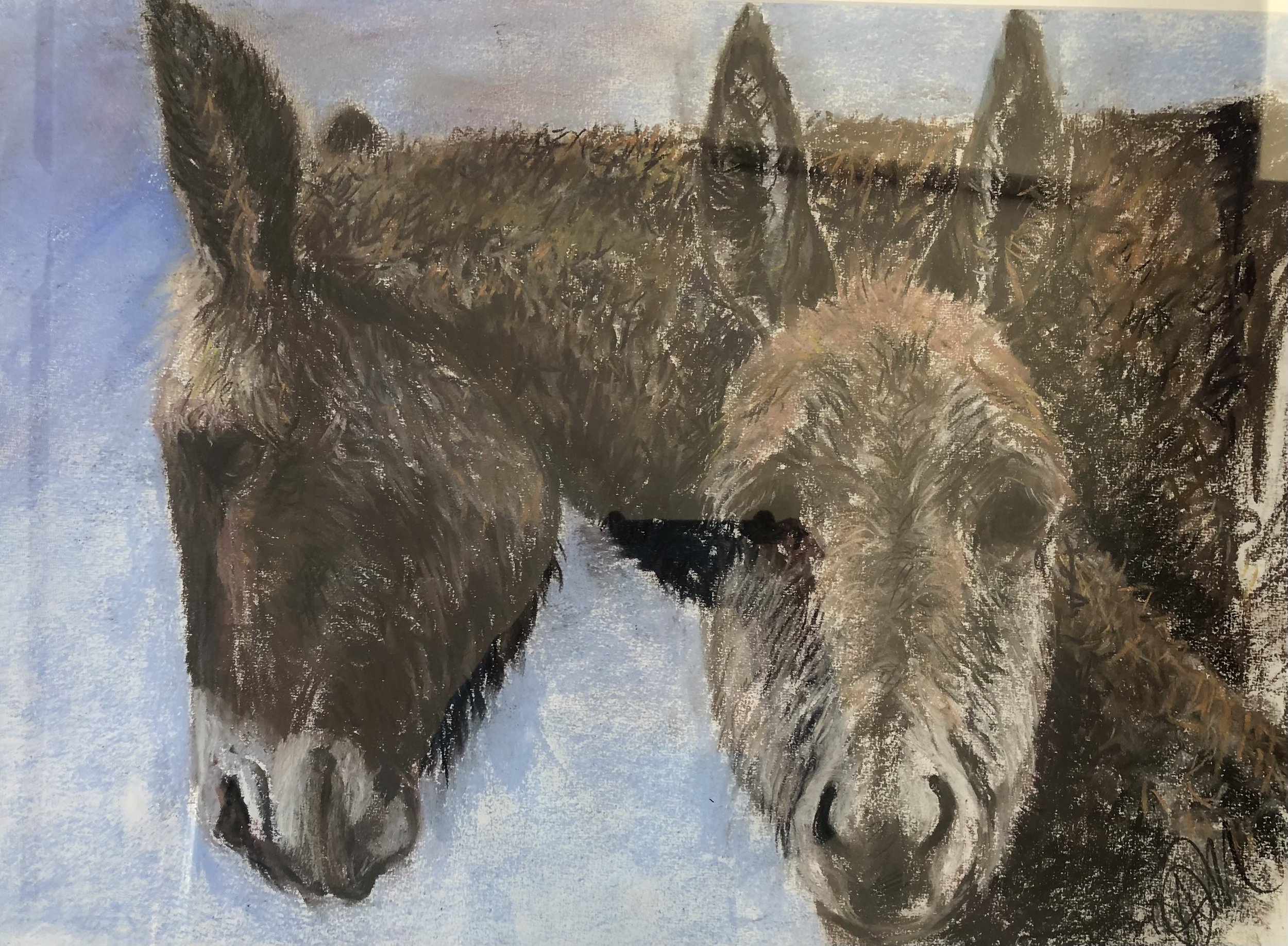 Who, Me? - Margaret Matthews, soft pastels, 67cm x 81cm framed size. £295