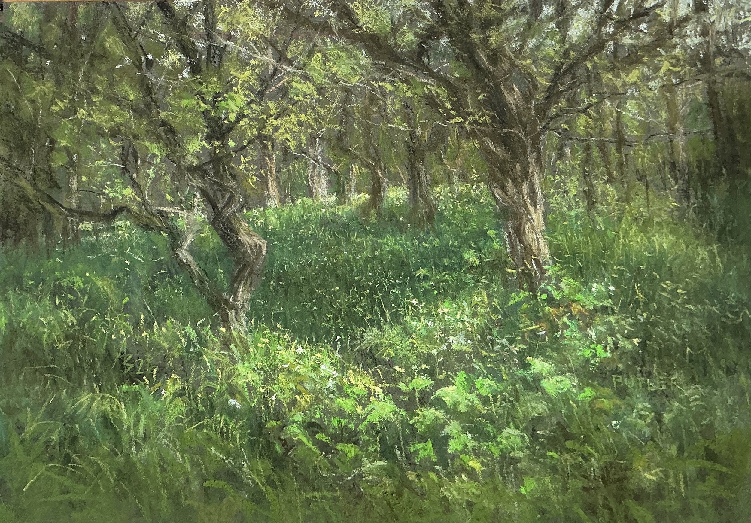 The Green Glade by Aidan Butler;
Soft pastel;
Unframed dimensions 20 x 28 cm;
Framed dimensions 37 x 45 cm;
Price £380.00